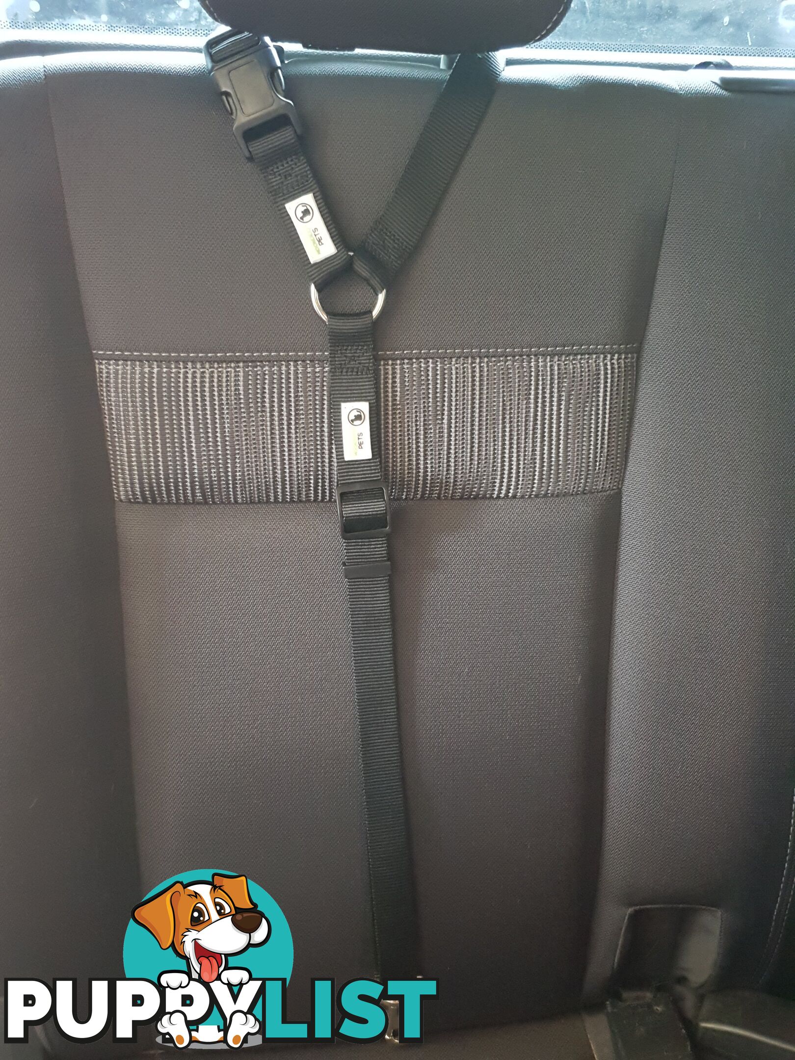 Dog Seatbelt Headrest Restraint Safety Travel - Moondidley Pets - MDPHRSBBK