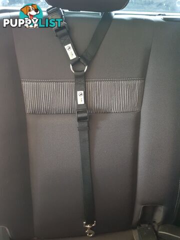 Dog Seatbelt Headrest Restraint Safety Travel - Moondidley Pets - MDPHRSBBK