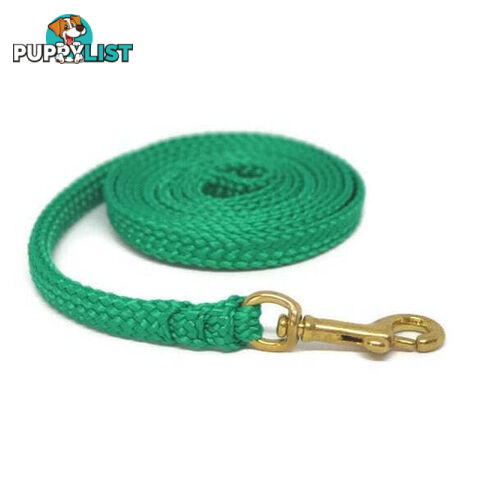 1.8m to 10m Long Dog Lead No Stitching Tough Yarnix 10mm Wide - YNXLD10-10-GRN-BR