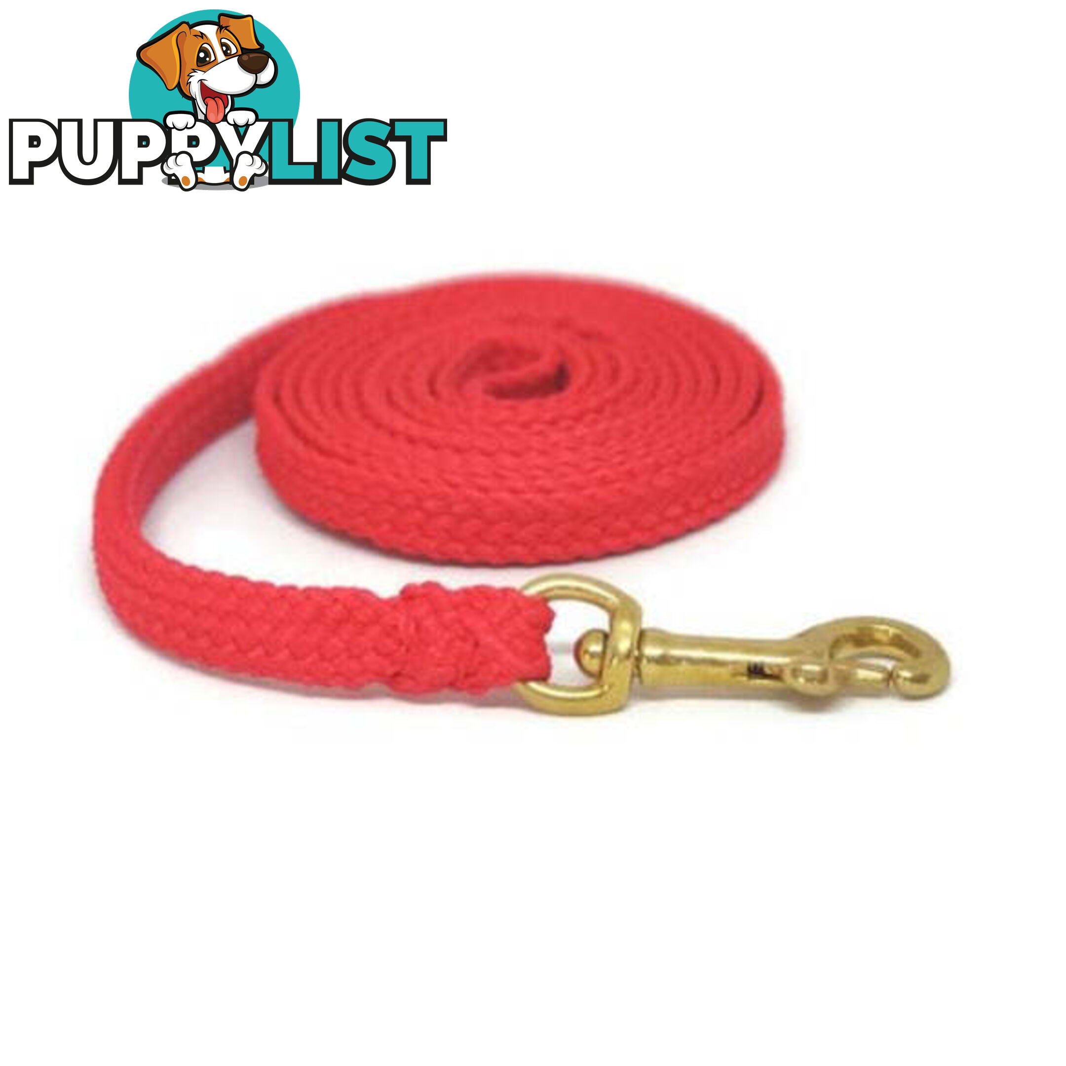 1.8m to 10m Long Dog Lead No Stitching Tough Yarnix 10mm Wide - YNXLD10-10-GRN-BR
