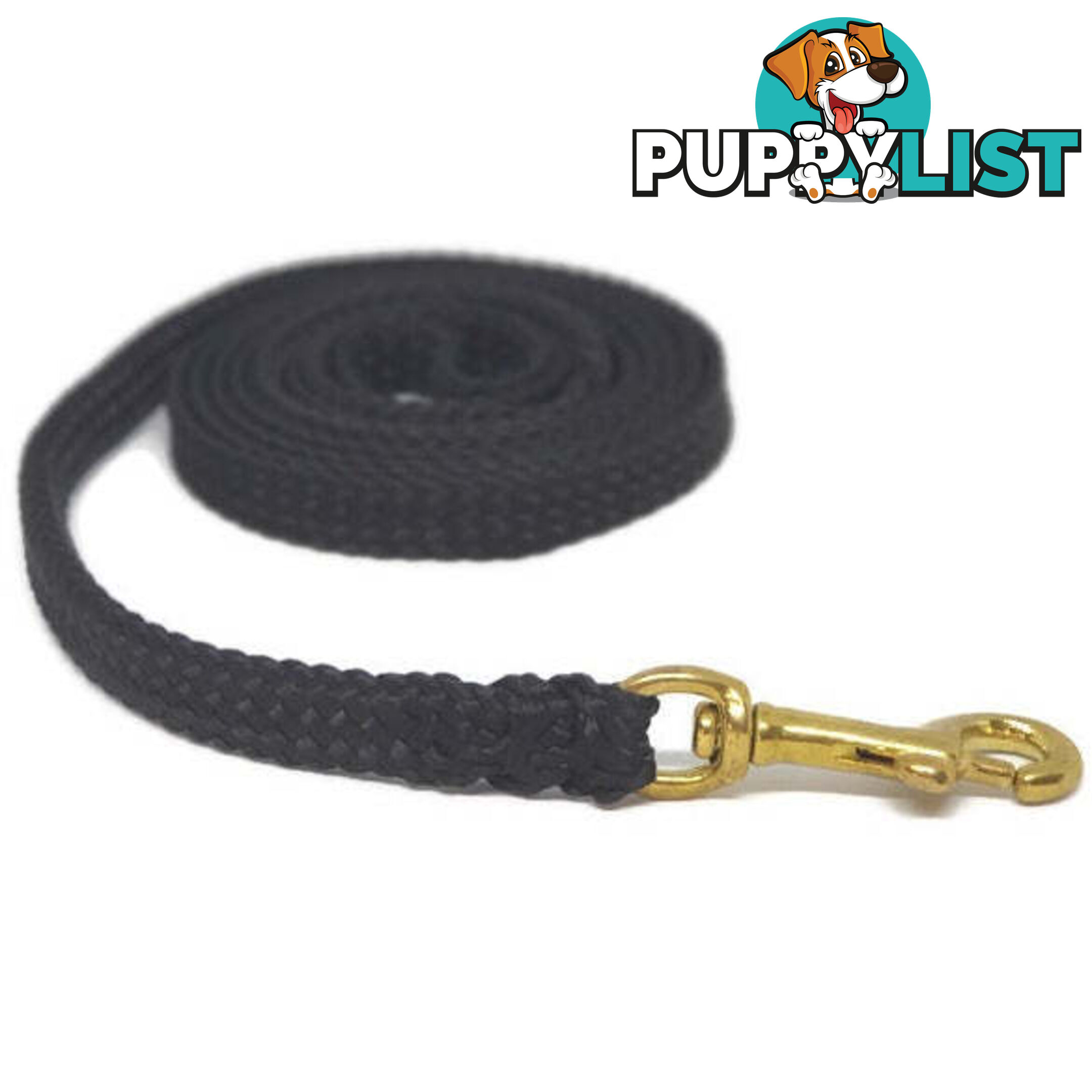 1.8m to 10m Long Dog Lead No Stitching Tough Yarnix 10mm Wide - YNXLD10-10-GRN-BR