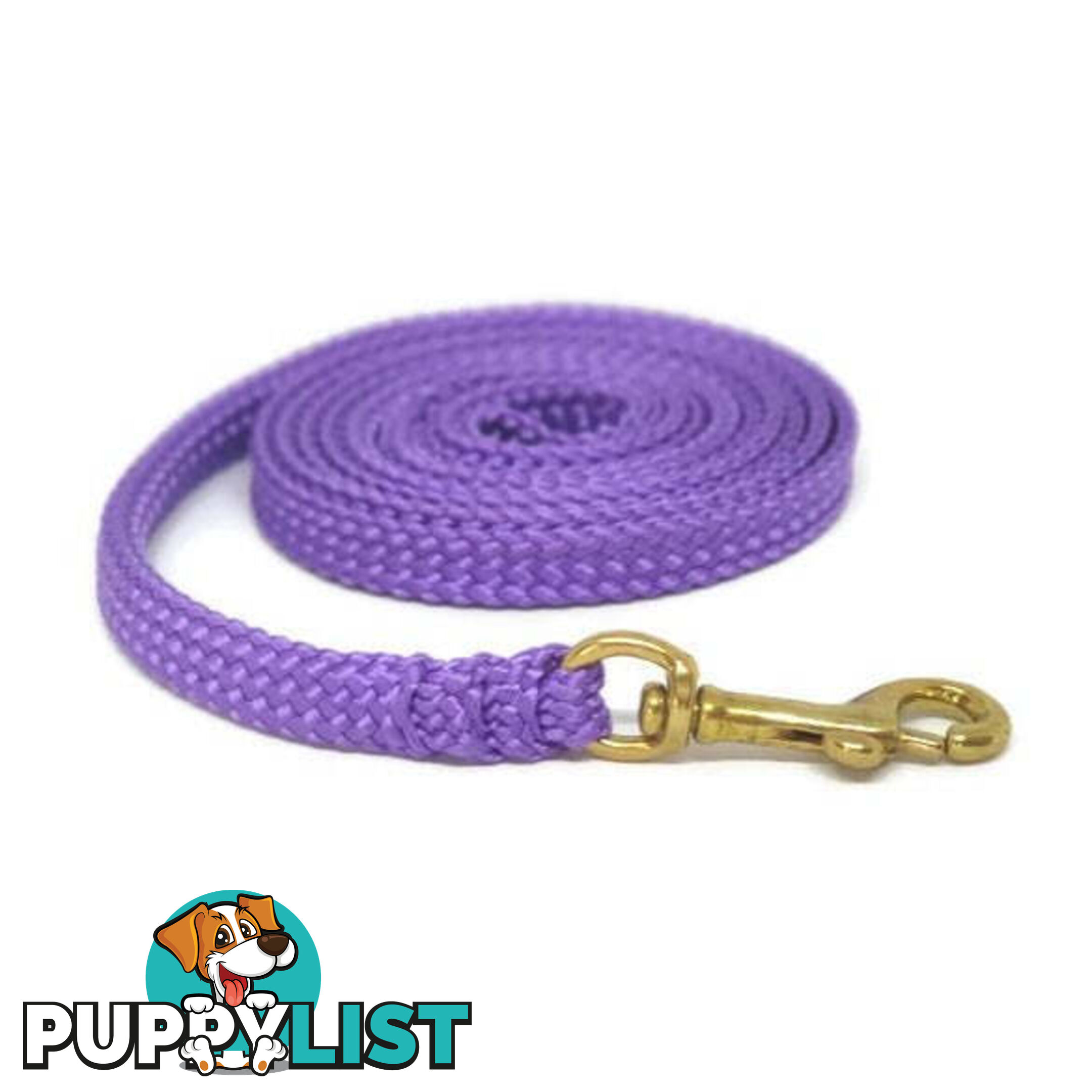 1.8m to 10m Long Dog Lead No Stitching Tough Yarnix 10mm Wide - YNXLD10-10-GRN-BR