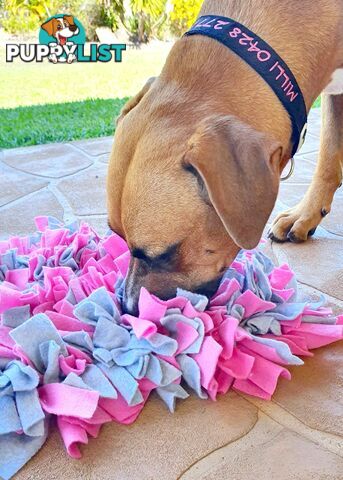 Snuffle Mats - Premium Heavy Duty Rubber Based - Pet Treat Play - Calms Anxiety - Slow Feeder - SNUFFLE-S-GNBK