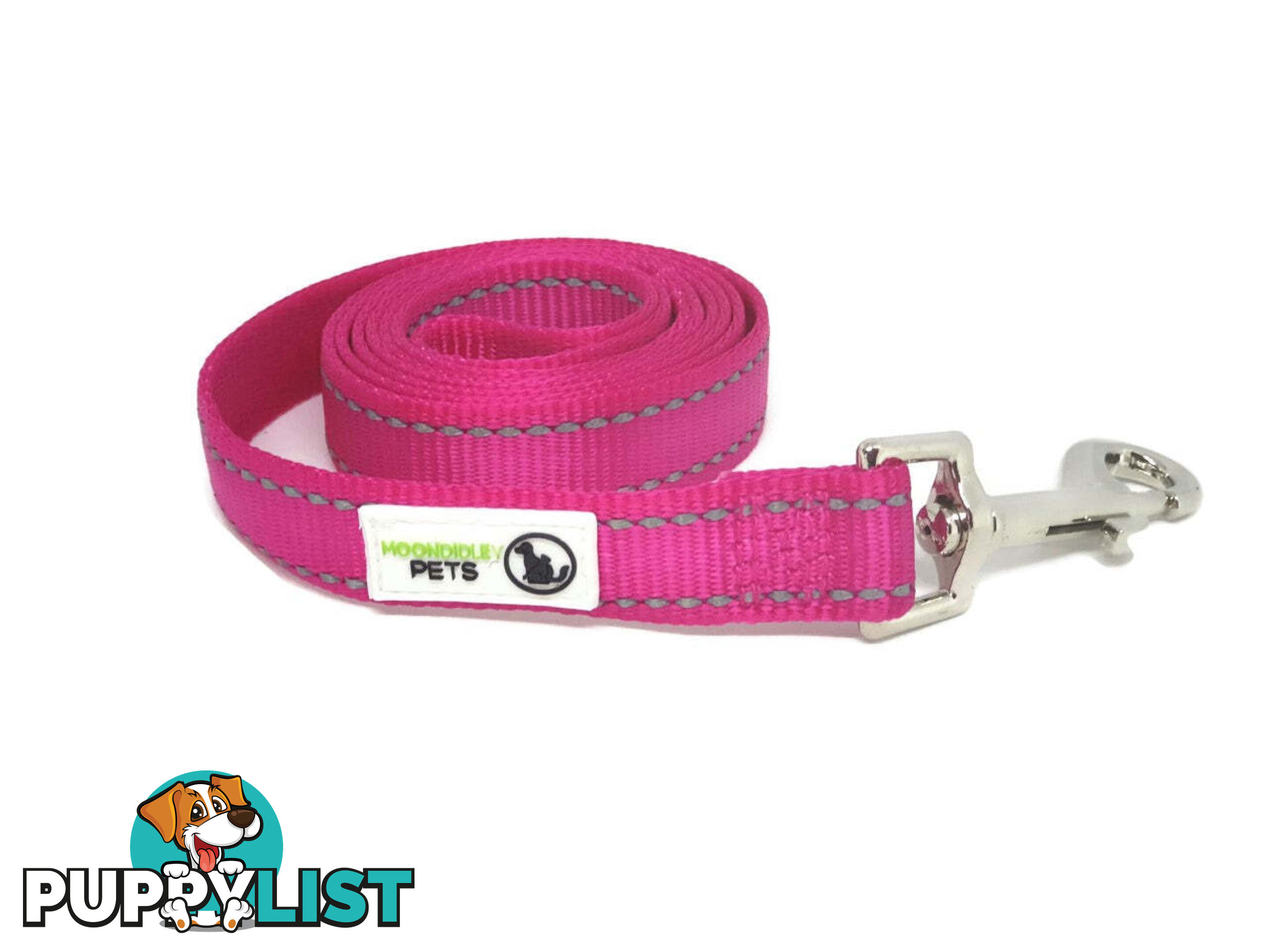 1.2m Nylon w/Reflective Stitching Dog Lead - Moondidley Pets - MDPLDREFGRN201.2