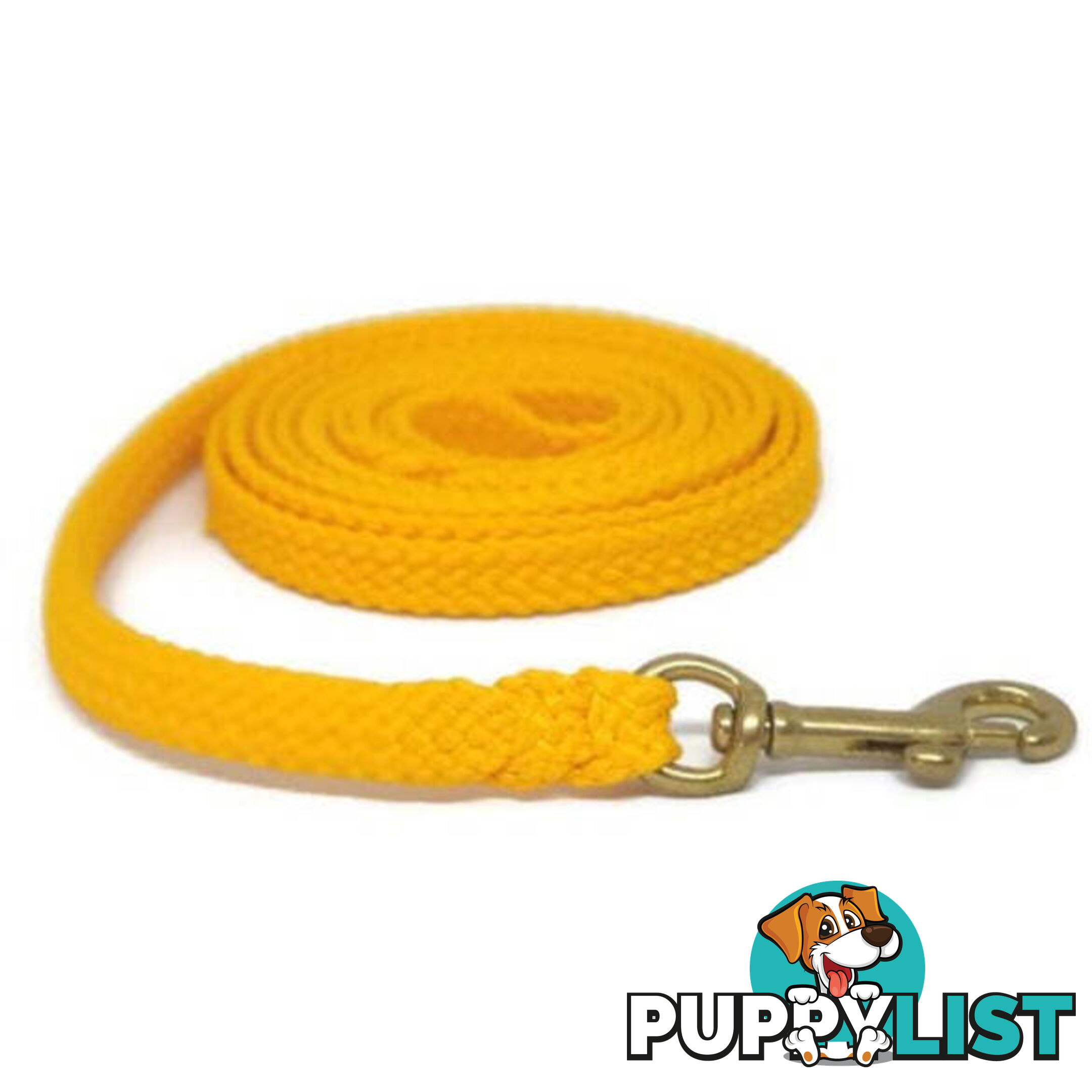 1.8m to 10m Long Dog Lead No Stitching Tough Yarnix 10mm Wide - YNXLD10-3-RD-SS