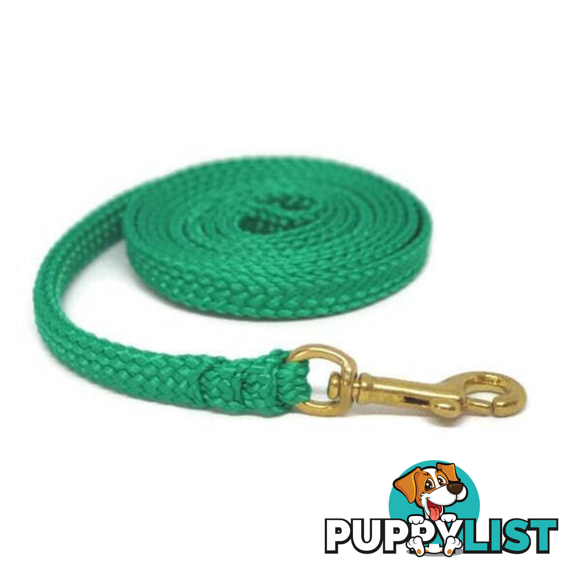 1.8m to 10m Long Dog Lead No Stitching Tough Yarnix 10mm Wide - YNXLD10-3-RD-SS