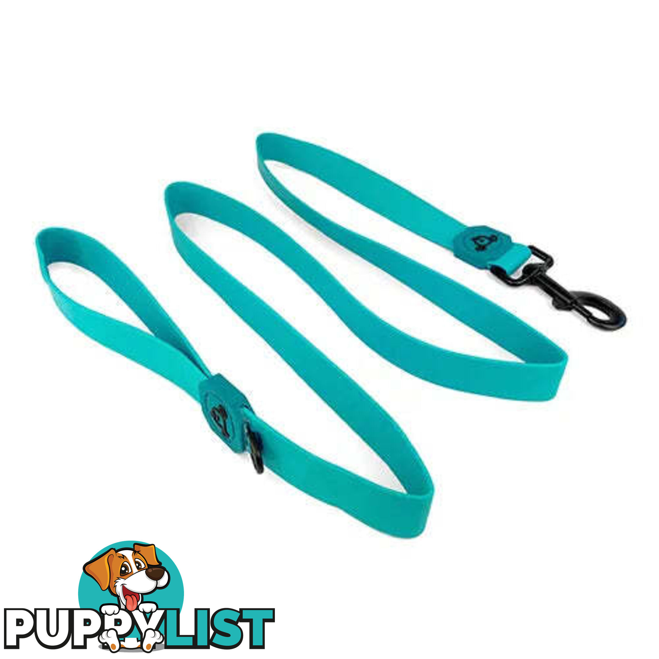 WATERPROOF DOG LEASH - BAINBRIDGE - BB-A7276-GRN