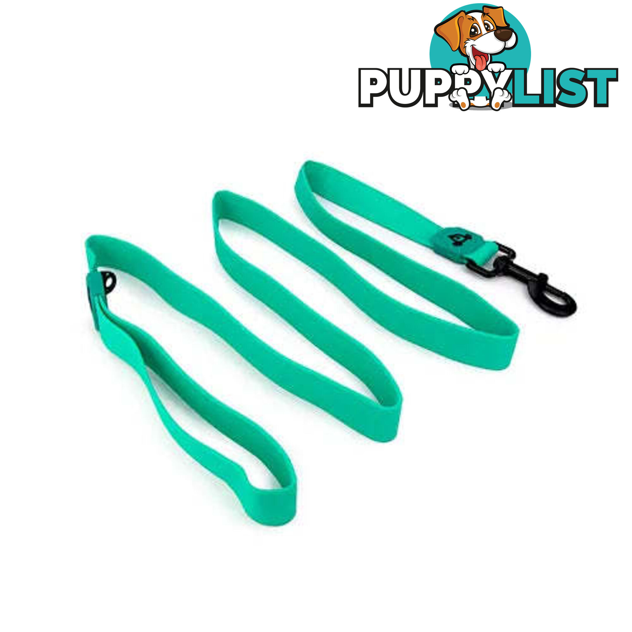 WATERPROOF DOG LEASH - BAINBRIDGE - BB-A7276-GRN