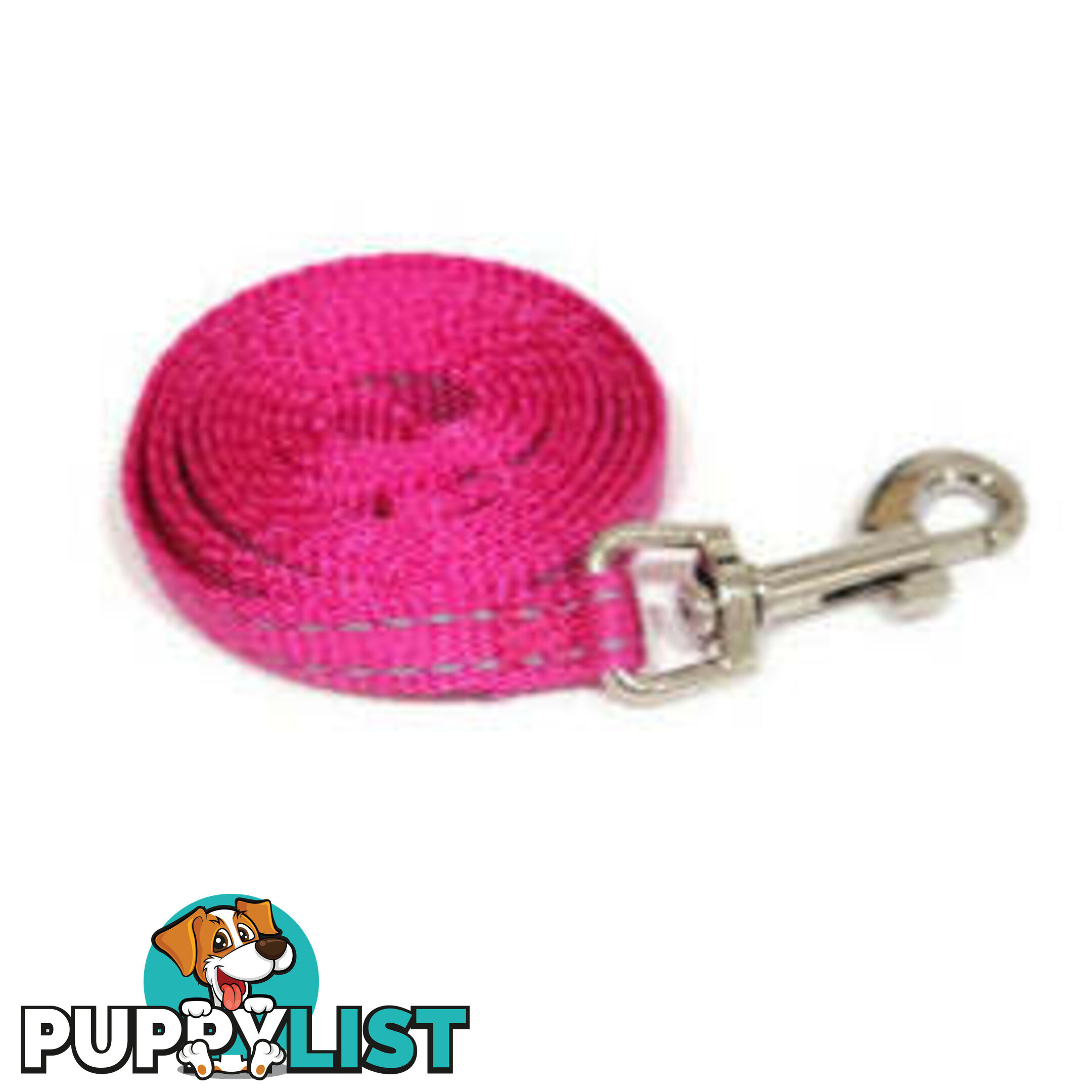 Lead Puppy / Cat Reflective- Moondidley Pets - MDPLDPUPLBLU