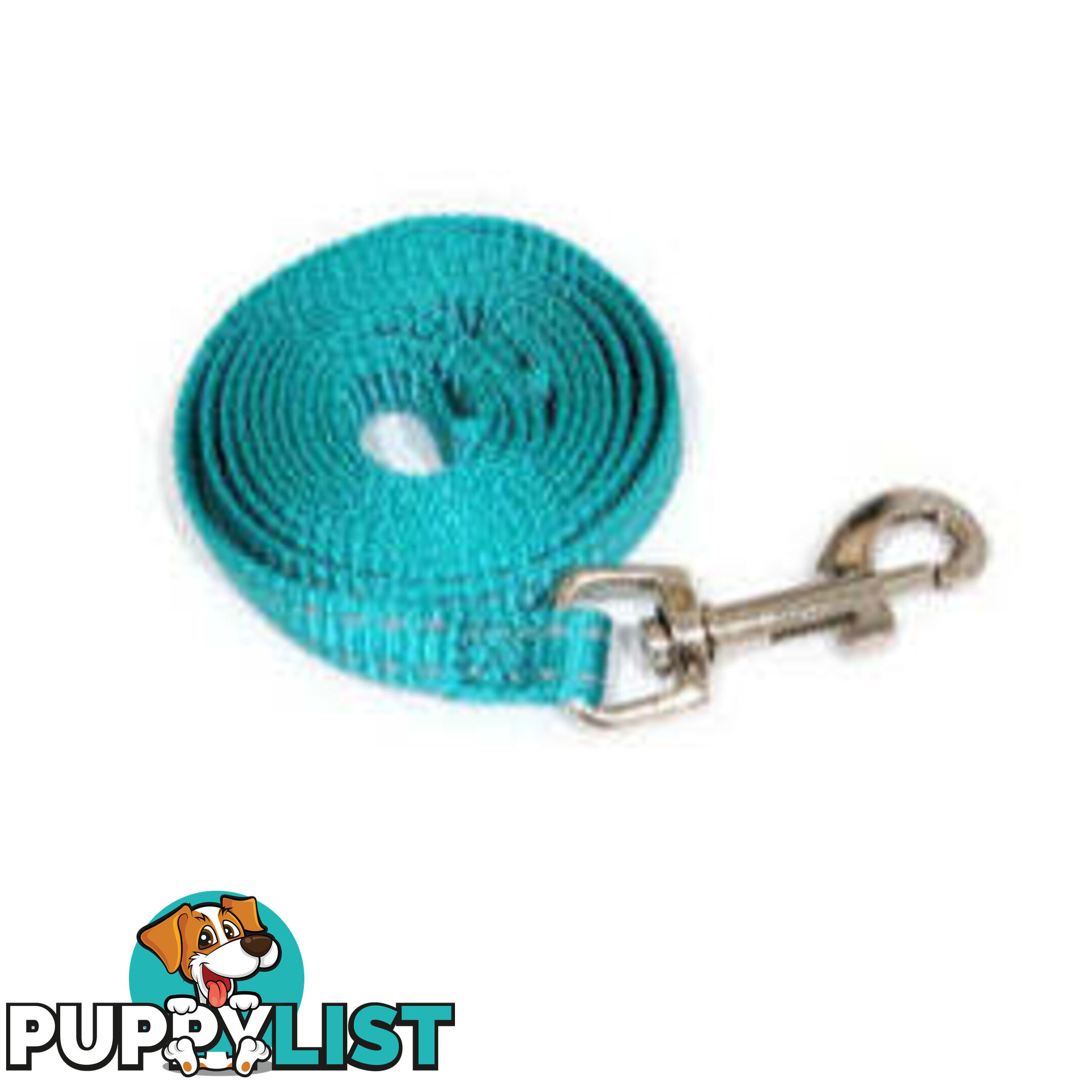 Lead Puppy / Cat Reflective- Moondidley Pets - MDPLDPUPLBLU