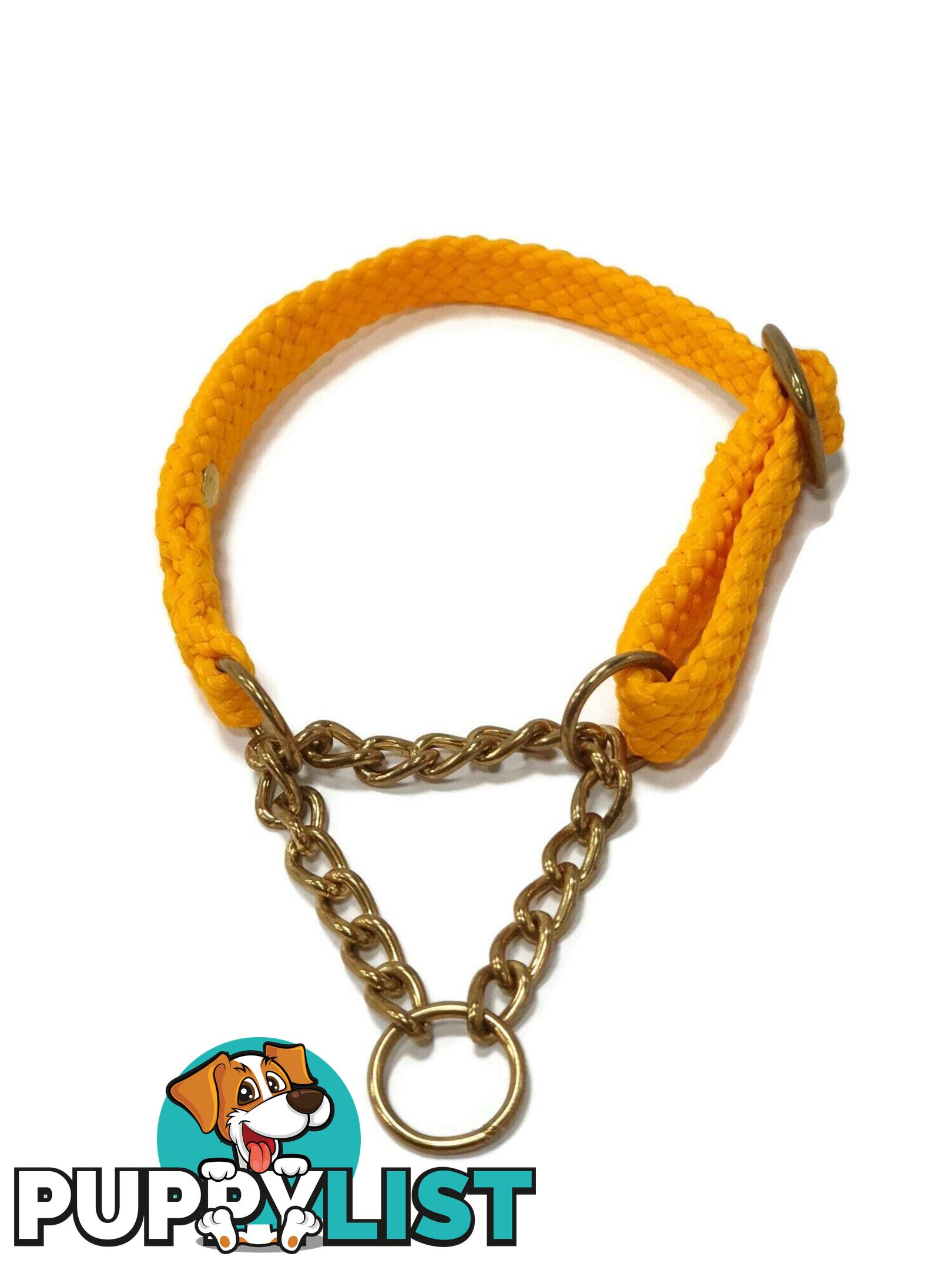 Martingale Dog Collars No Stitching Tough Yarnix - YNXCOLMARXXL20HGRN