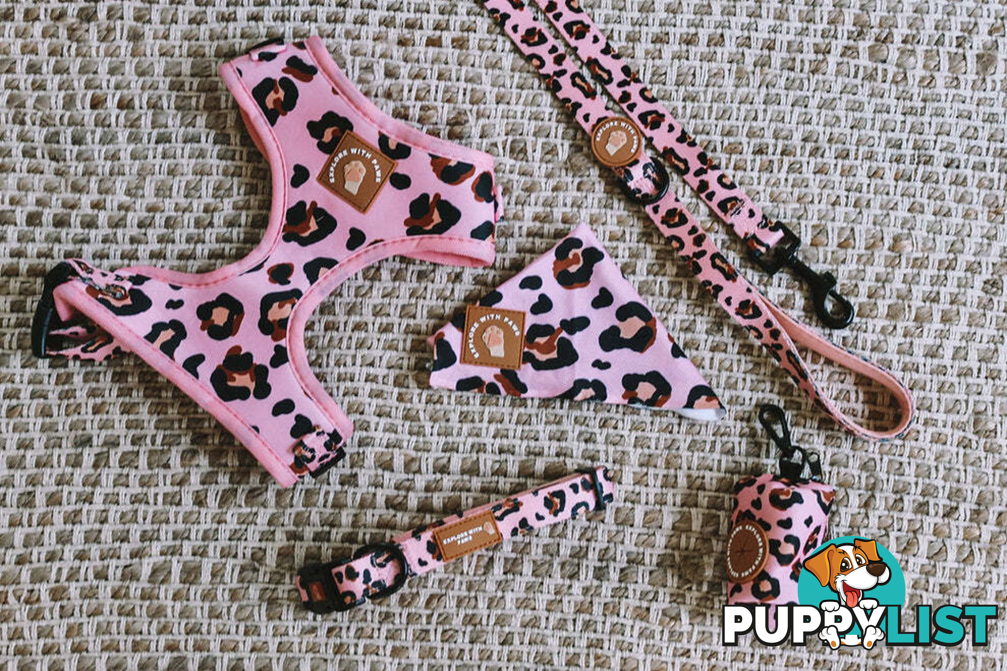Designer Dog Collars by Explore with Paws - EWPCOLXSTIGN