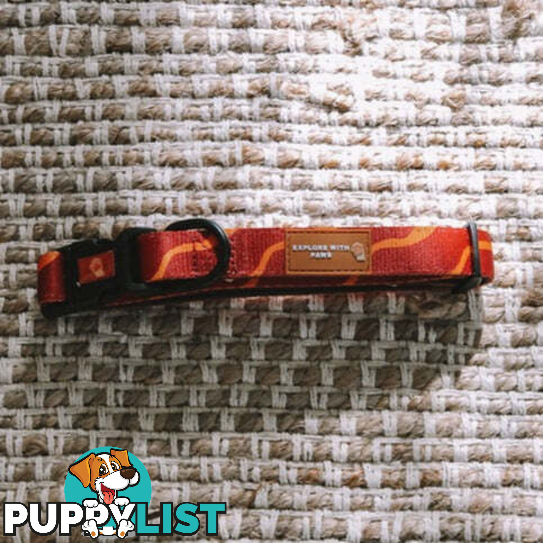Designer Dog Collars by Explore with Paws - EWPCOLXSTIGN