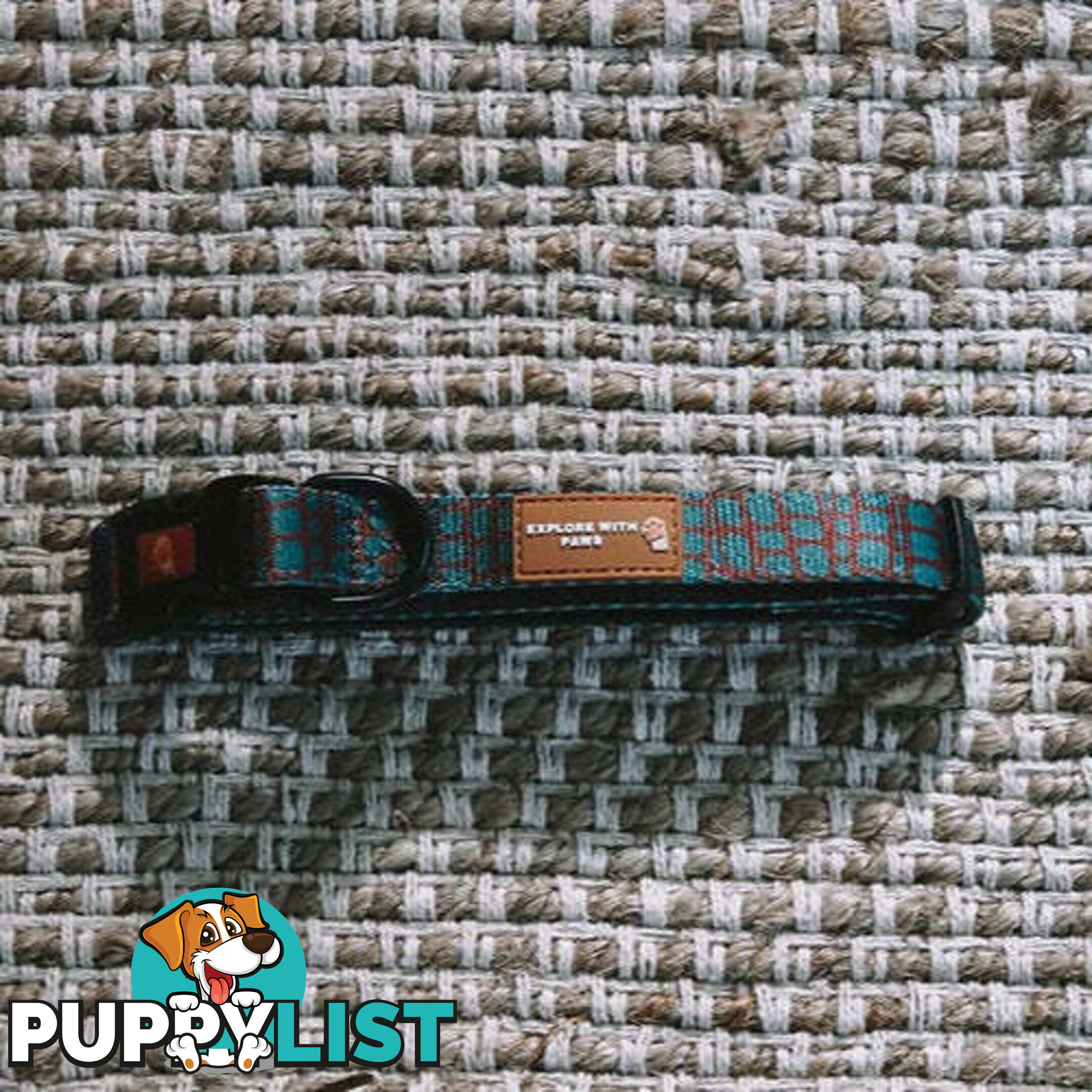 Designer Dog Collars by Explore with Paws - EWPCOLXSTIGN