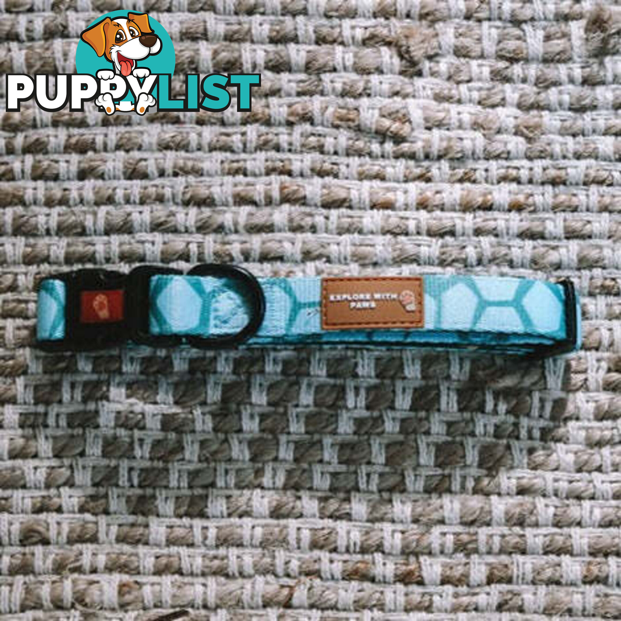 Designer Dog Collars by Explore with Paws - EWPCOLXSTIGN