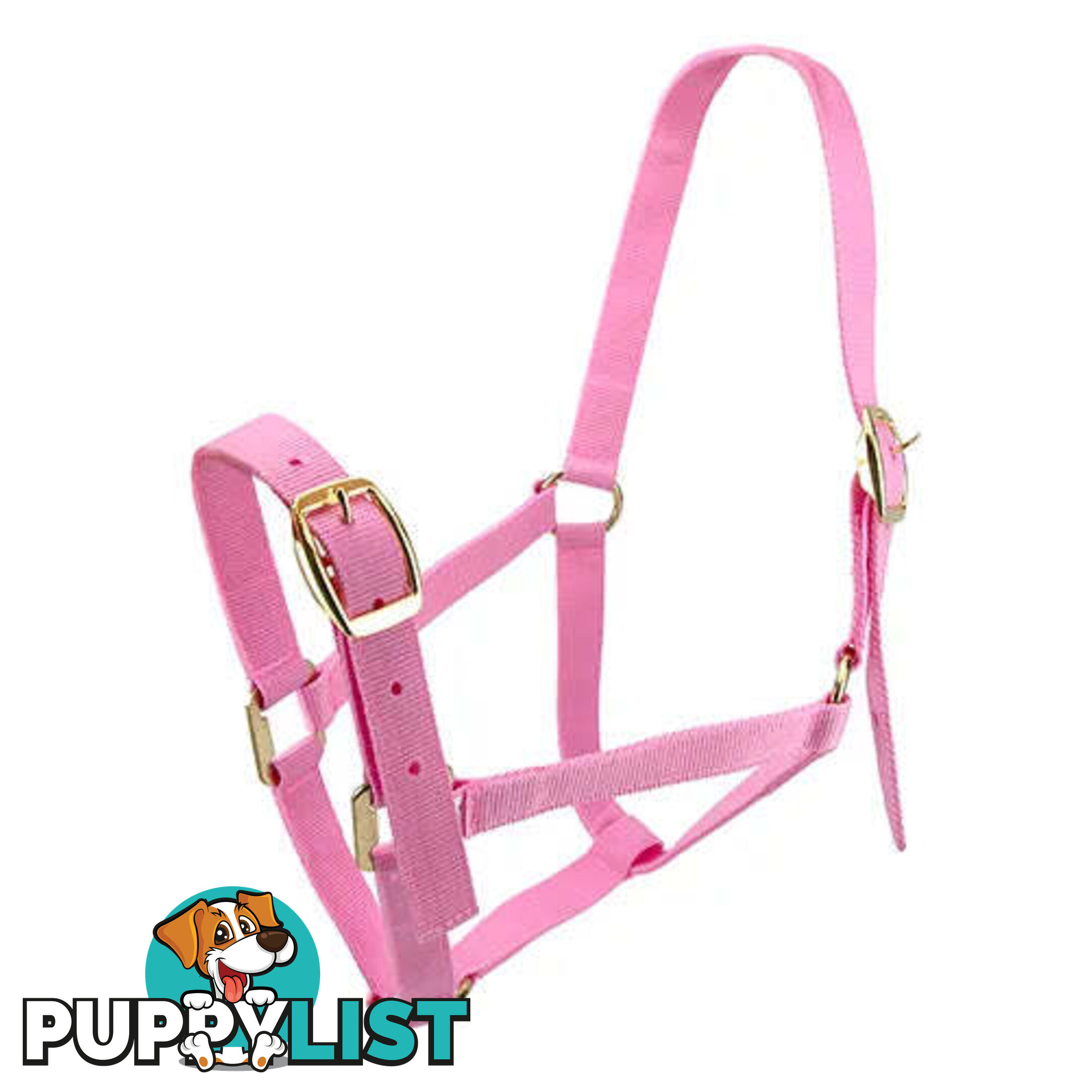 Click to Enlarge HORSE HALTERS - BAINBRIDGE - BB-A2201-RED