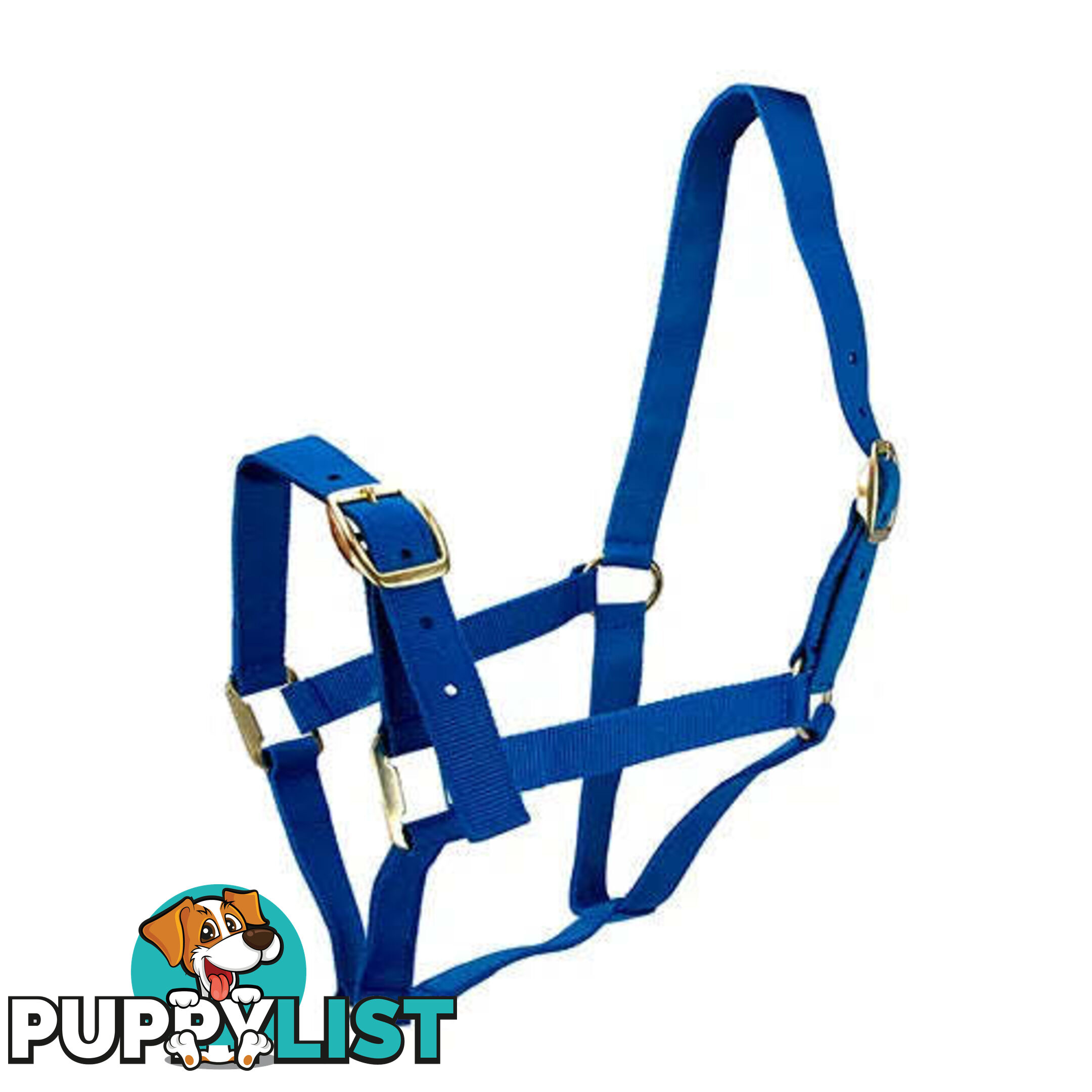 Click to Enlarge HORSE HALTERS - BAINBRIDGE - BB-A2201-RED