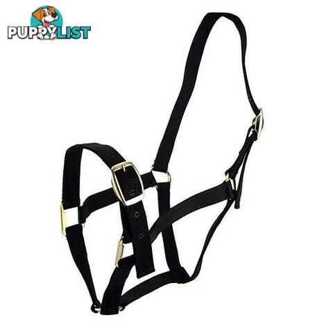 Click to Enlarge HORSE HALTERS - BAINBRIDGE - BB-A2201-RED