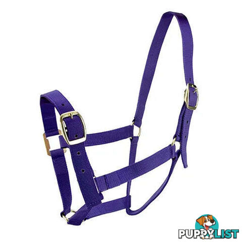 Click to Enlarge HORSE HALTERS - BAINBRIDGE - BB-A2201-RED