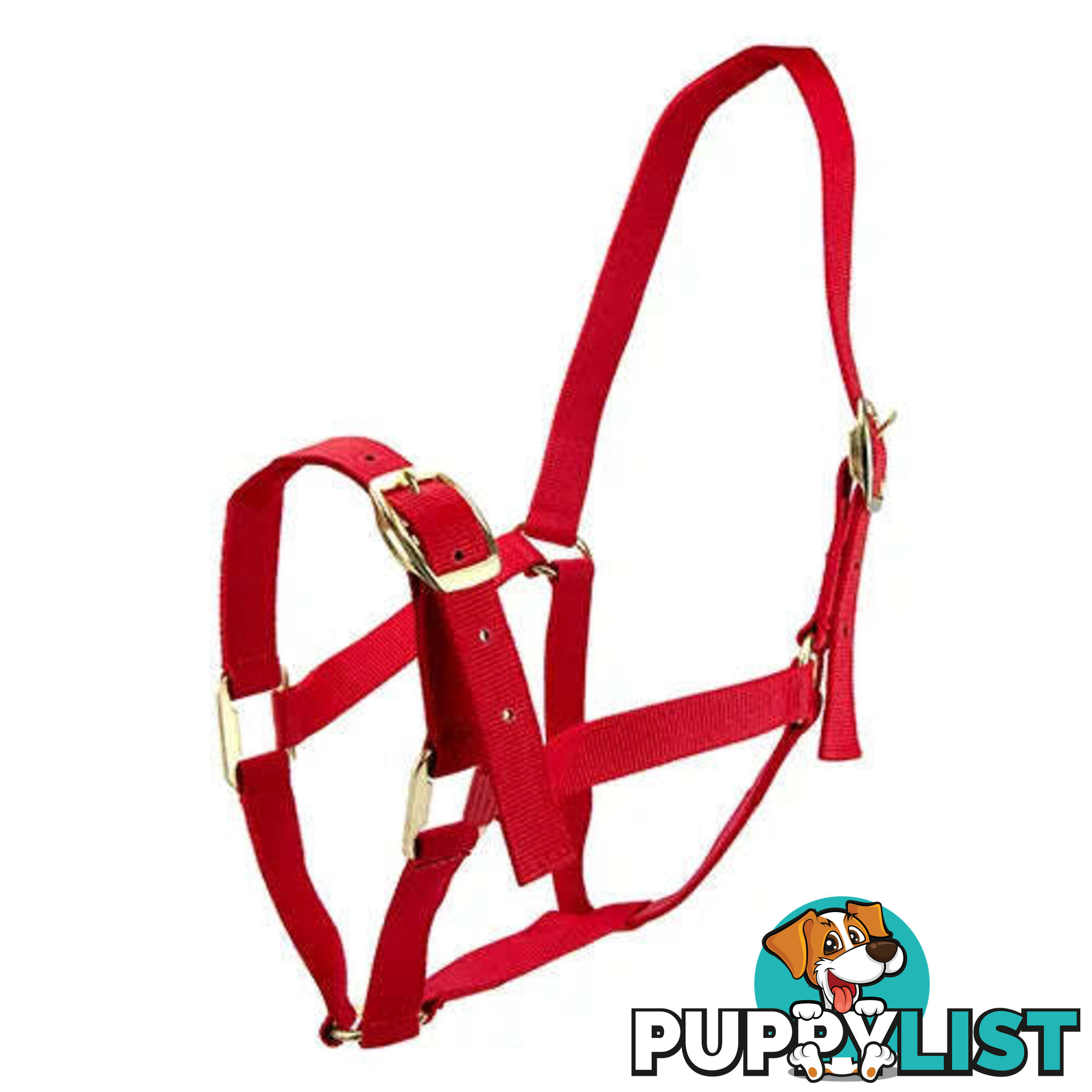 Click to Enlarge HORSE HALTERS - BAINBRIDGE - BB-A2201-RED