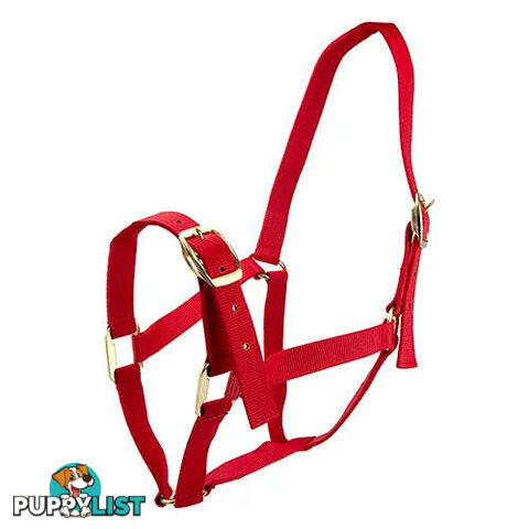 Click to Enlarge HORSE HALTERS - BAINBRIDGE - BB-A2201-RED