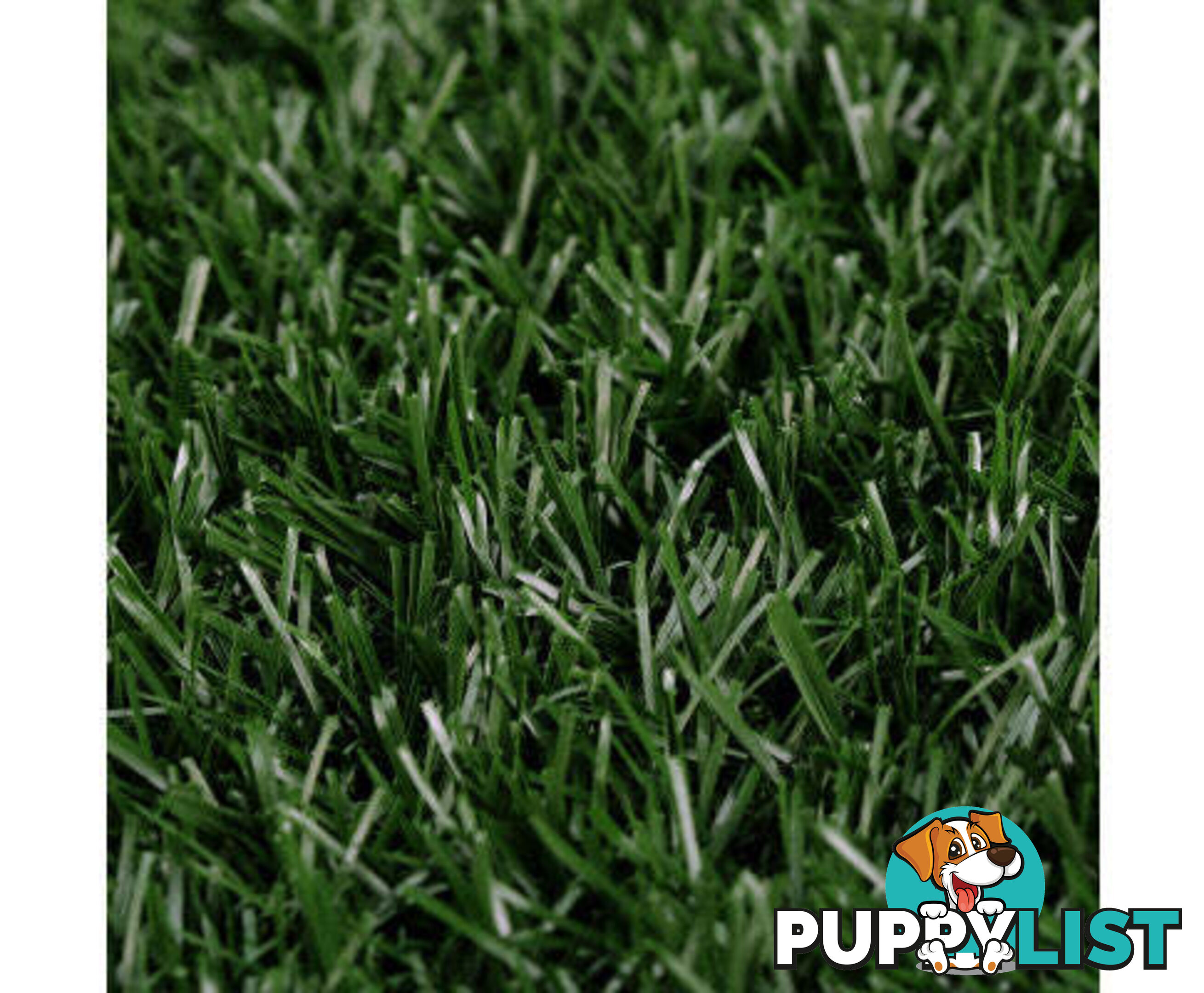 Paw Mate Grass Mat for Pet Dog Potty Tray Training Toilet 58.5cm x 46cm - V274-PET-MAT-208A-X2