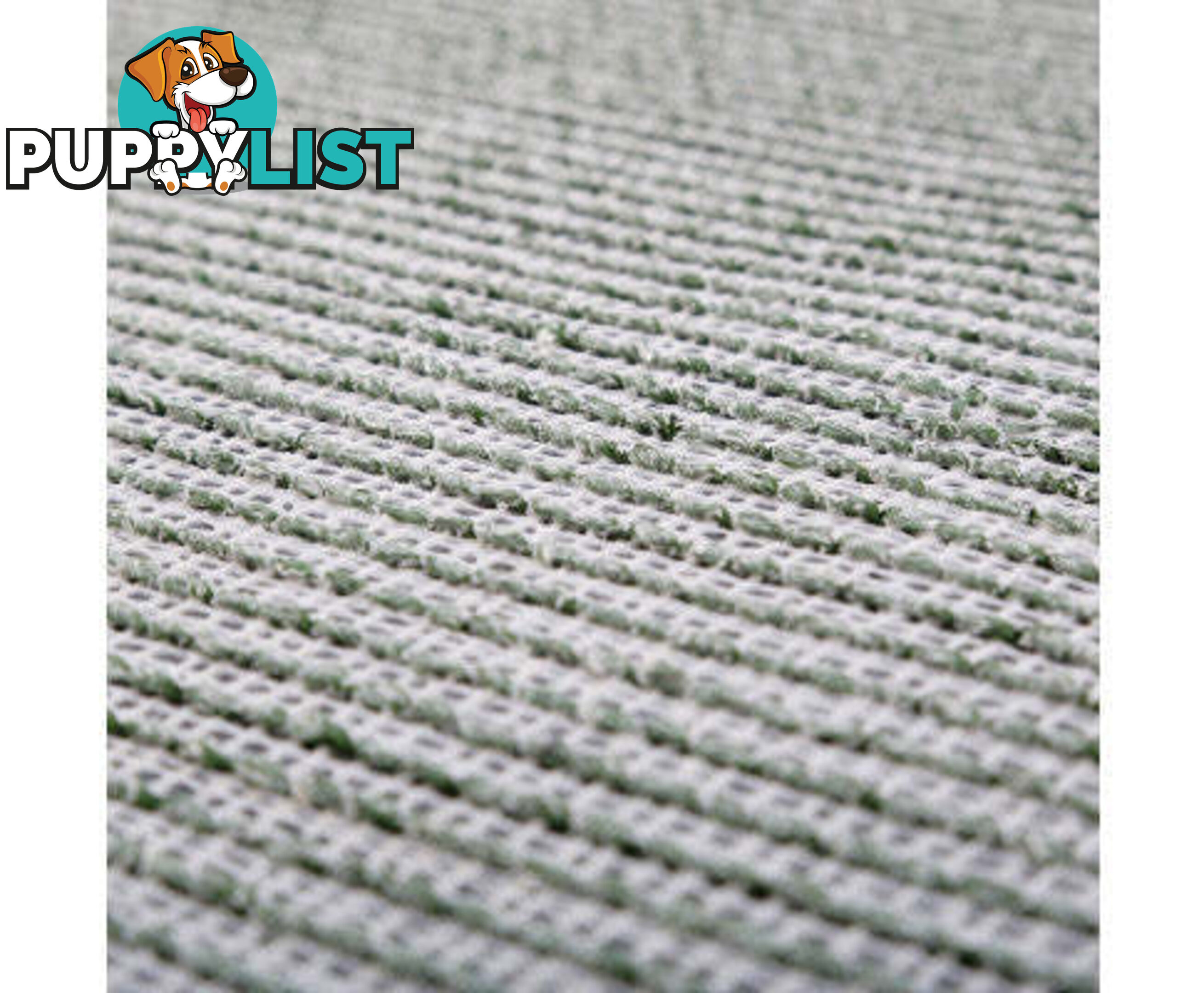 Paw Mate Grass Mat for Pet Dog Potty Tray Training Toilet 58.5cm x 46cm - V274-PET-MAT-208A-X2