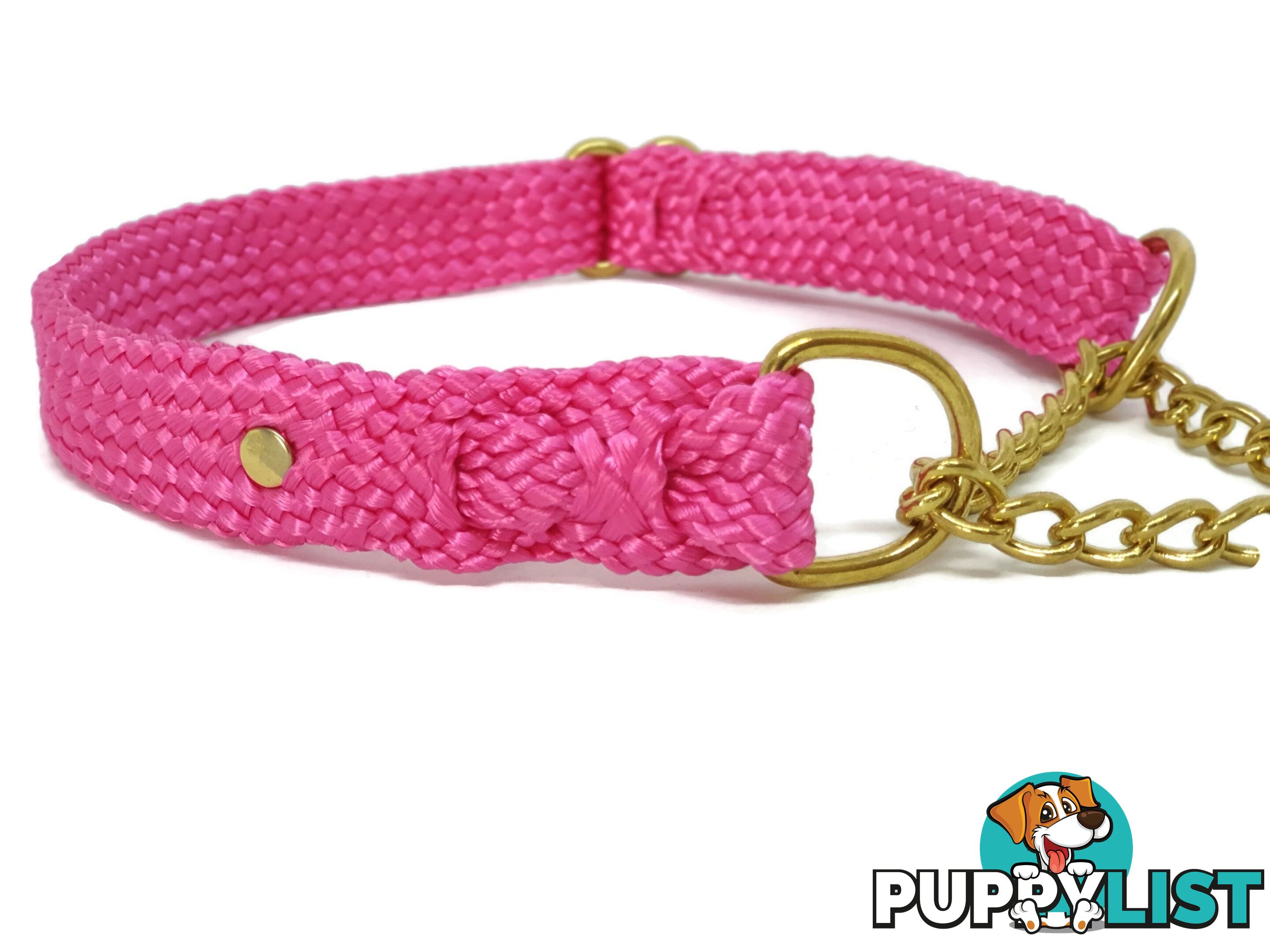 Martingale Dog Collars No Stitching Tough Yarnix - YNXCOLMARXL20LGRN