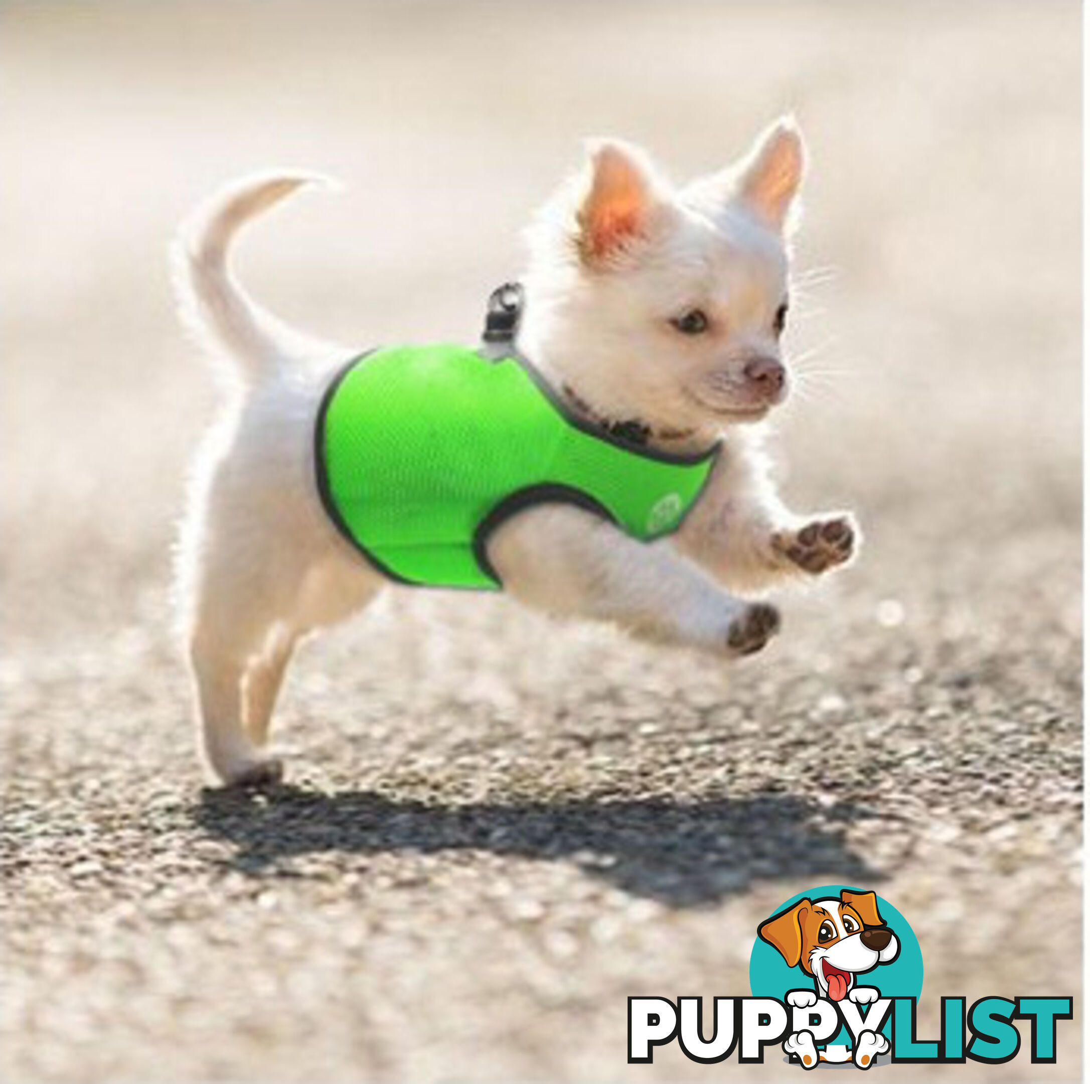 Vest Harness Pet Dog-Cat Step-in Velcro and Buckle Attachments - Moondidley Pets - MDPVESTXSPNK
