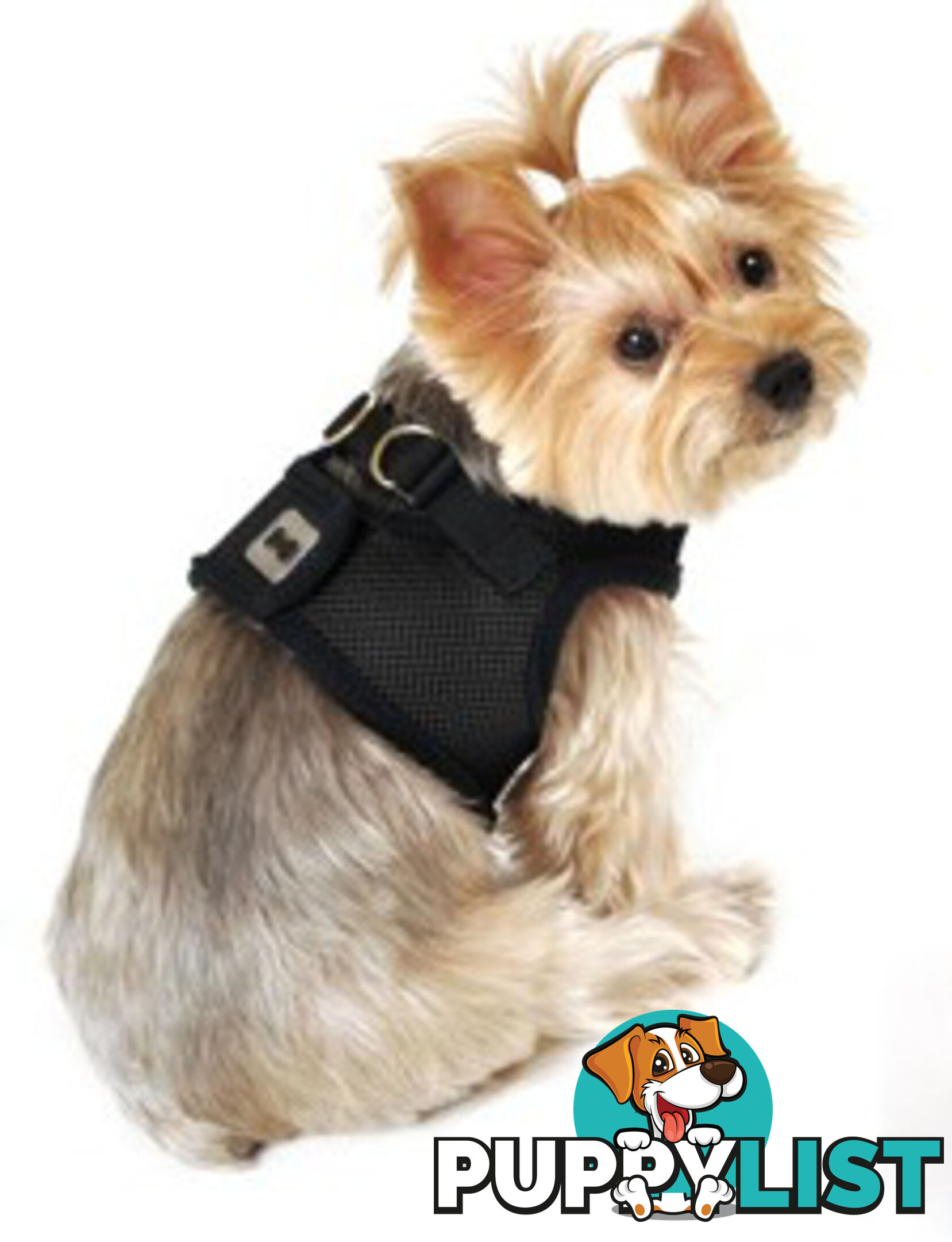 Vest Harness Pet Dog-Cat Step-in Velcro and Buckle Attachments - Moondidley Pets - MDPVESTLBLK