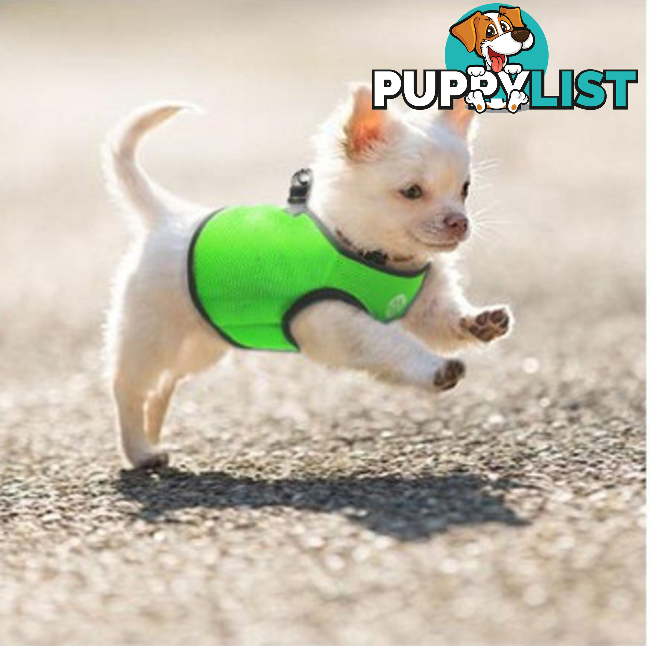 Vest Harness Pet Dog-Cat Step-in Velcro and Buckle Attachments - Moondidley Pets - MDPVESTLBLK