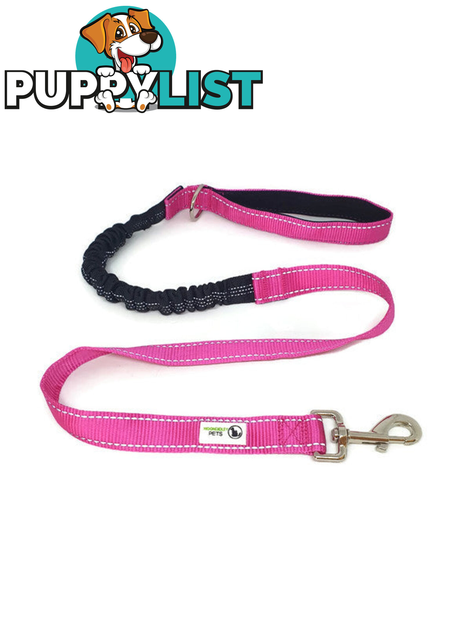 Bungee Dog Lead Nylon w/Reflective Stitching - Moondidley Pets - MDPLDBUNPUR