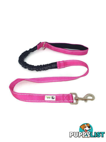 Bungee Dog Lead Nylon w/Reflective Stitching - Moondidley Pets - MDPLDBUNPUR