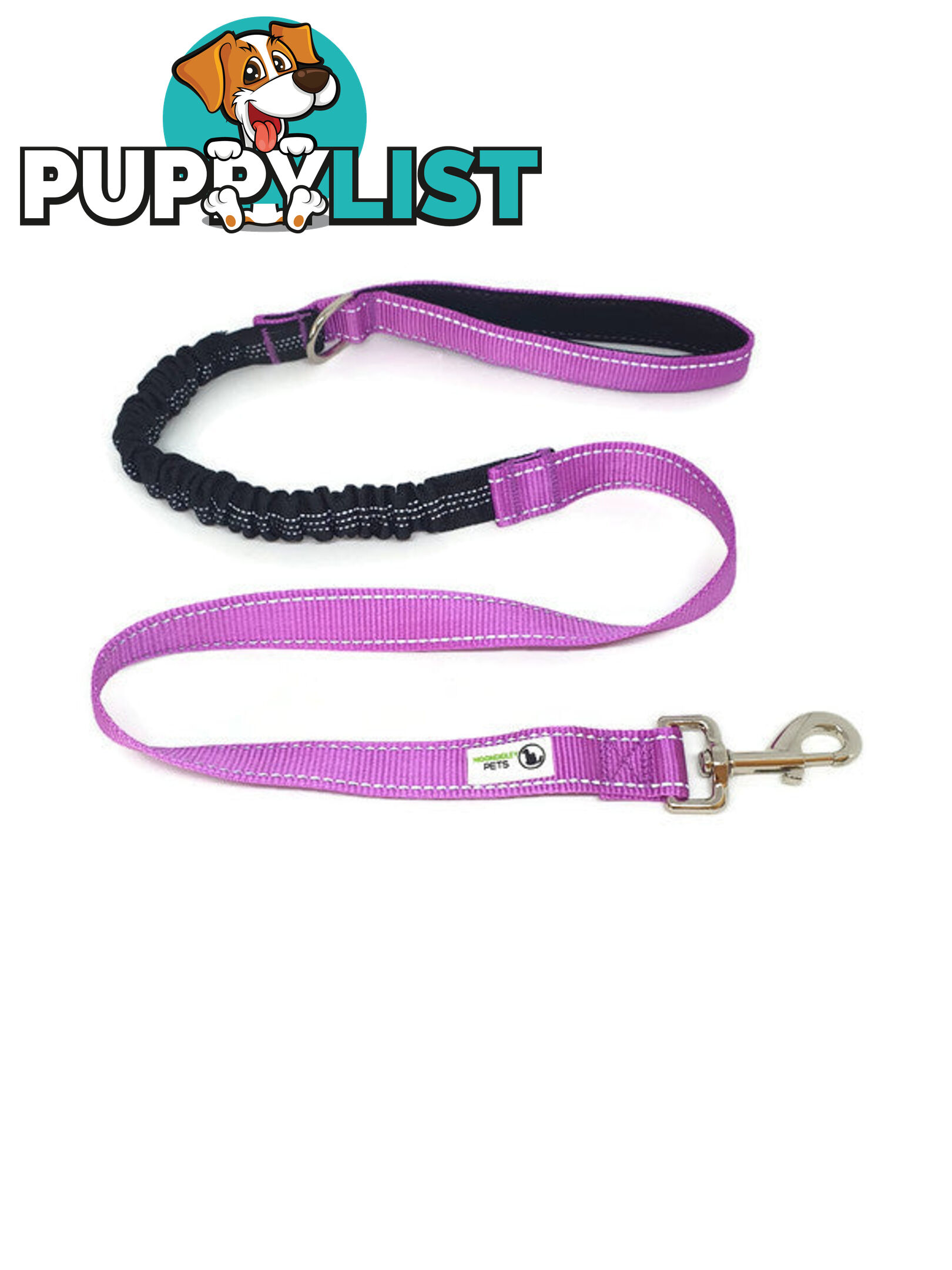 Bungee Dog Lead Nylon w/Reflective Stitching - Moondidley Pets - MDPLDBUNPUR