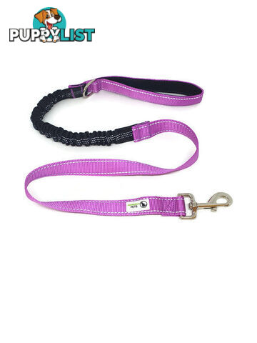 Bungee Dog Lead Nylon w/Reflective Stitching - Moondidley Pets - MDPLDBUNPUR
