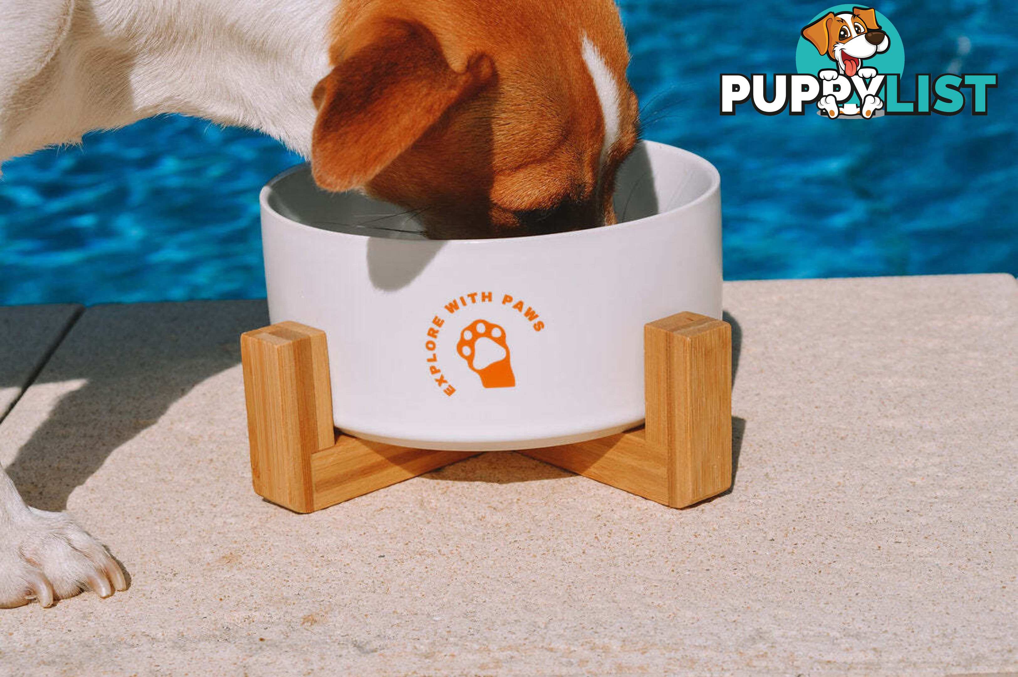 Ceramic Bowl with Wooden Stand - Explore with Paws - EWPBOWCERWHI