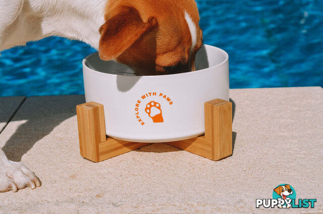 Ceramic Bowl with Wooden Stand - Explore with Paws - EWPBOWCERWHI