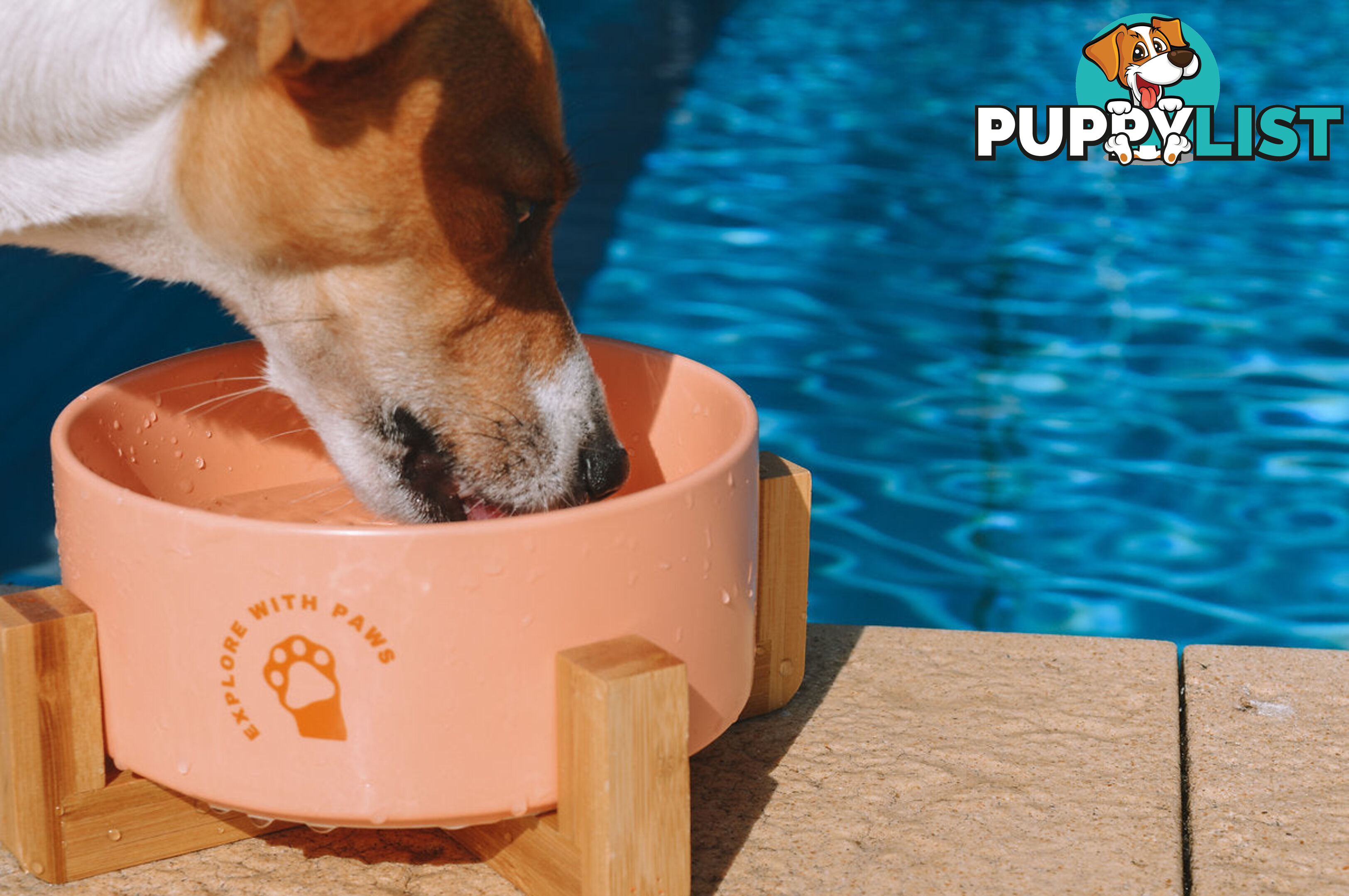Ceramic Bowl with Wooden Stand - Explore with Paws - EWPBOWCERWHI