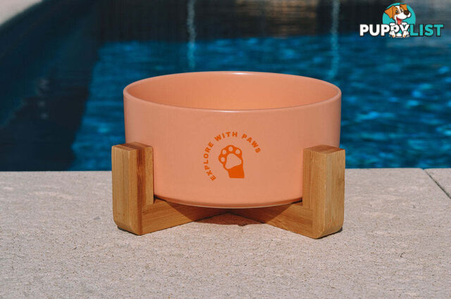 Ceramic Bowl with Wooden Stand - Explore with Paws - EWPBOWCERWHI