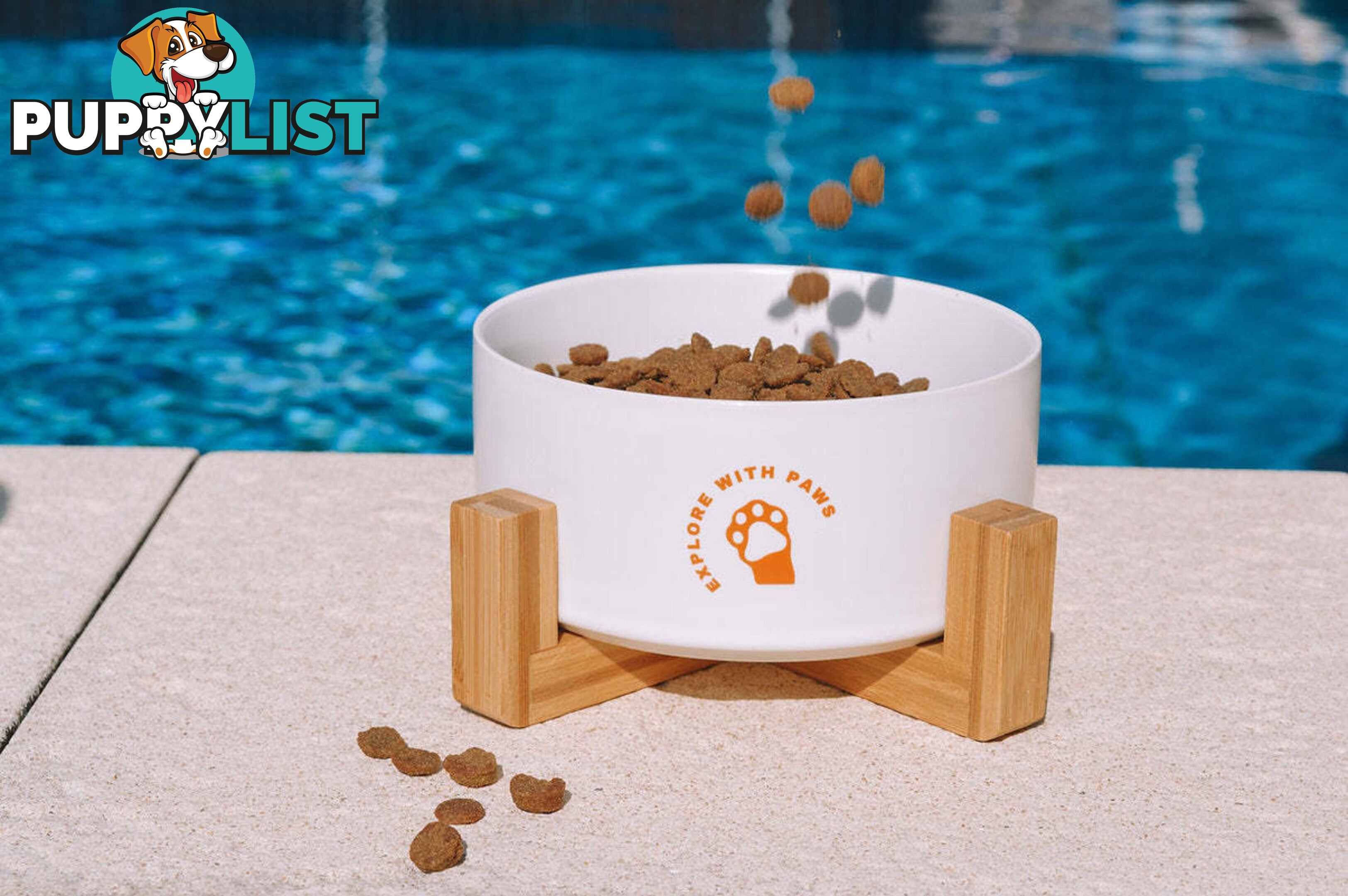 Ceramic Bowl with Wooden Stand - Explore with Paws - EWPBOWCERWHI