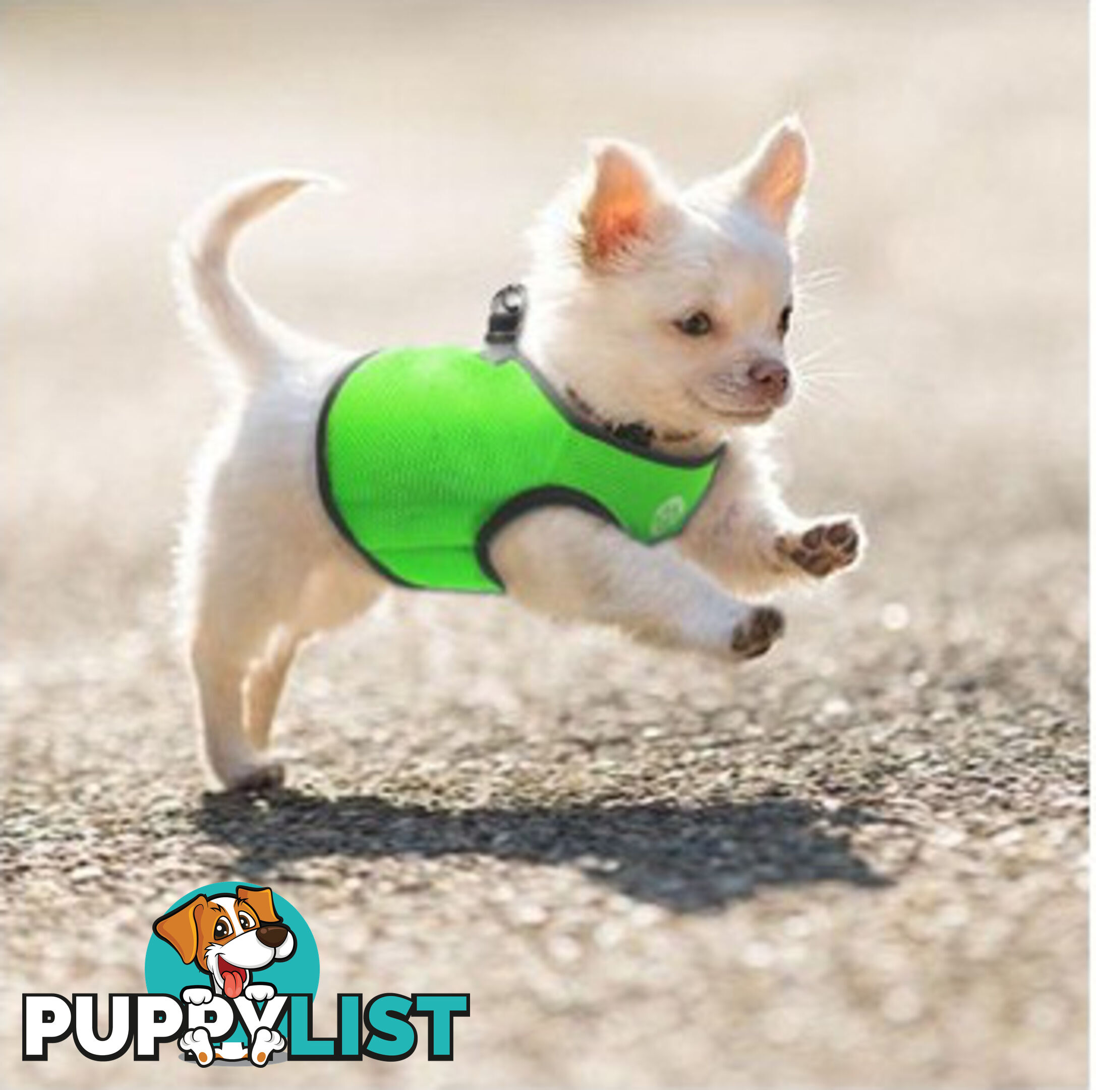Vest Harness Pet Dog-Cat Step-in Velcro and Buckle Attachments - Moondidley Pets - MDPVESTXLRED