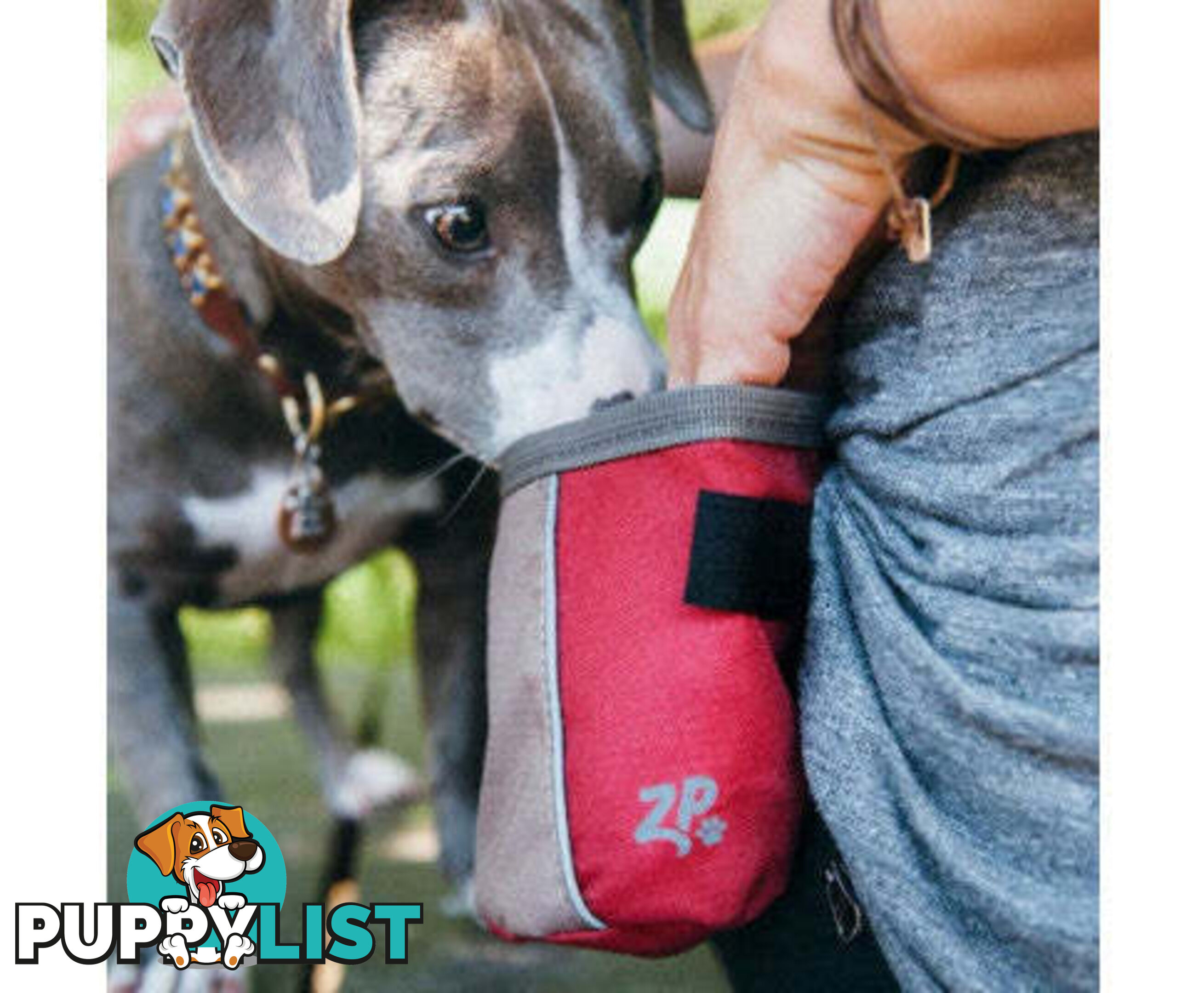 Zippy Paws Treat bag - V256-ZP495