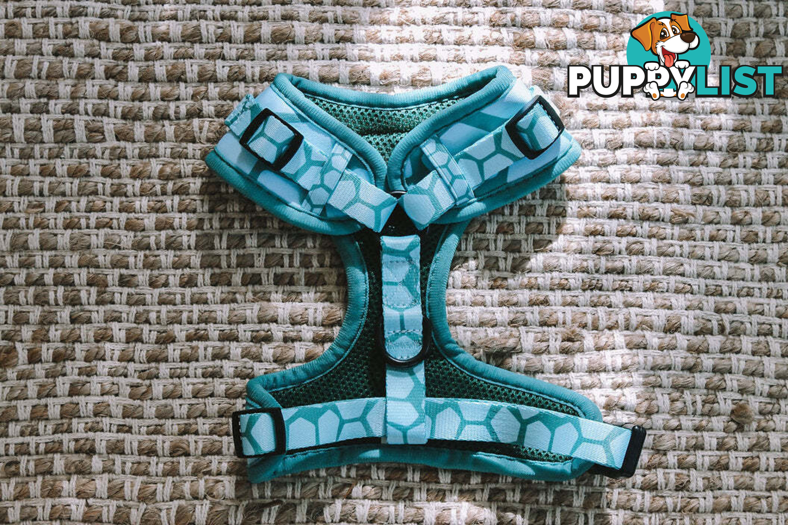 Designer Dog Harness by Explore with Paws - EWPHARTIGXSN