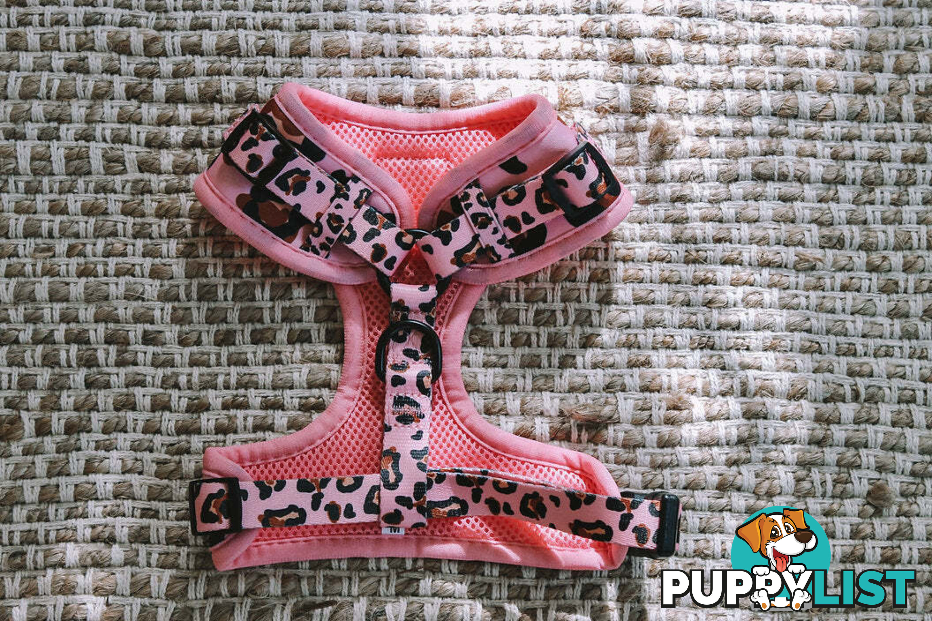 Designer Dog Harness by Explore with Paws - EWPHARTIGXSN