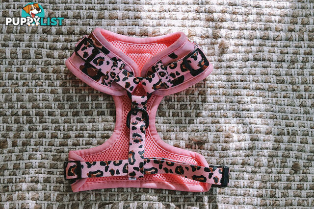 Designer Dog Harness by Explore with Paws - EWPHARTIGXSN