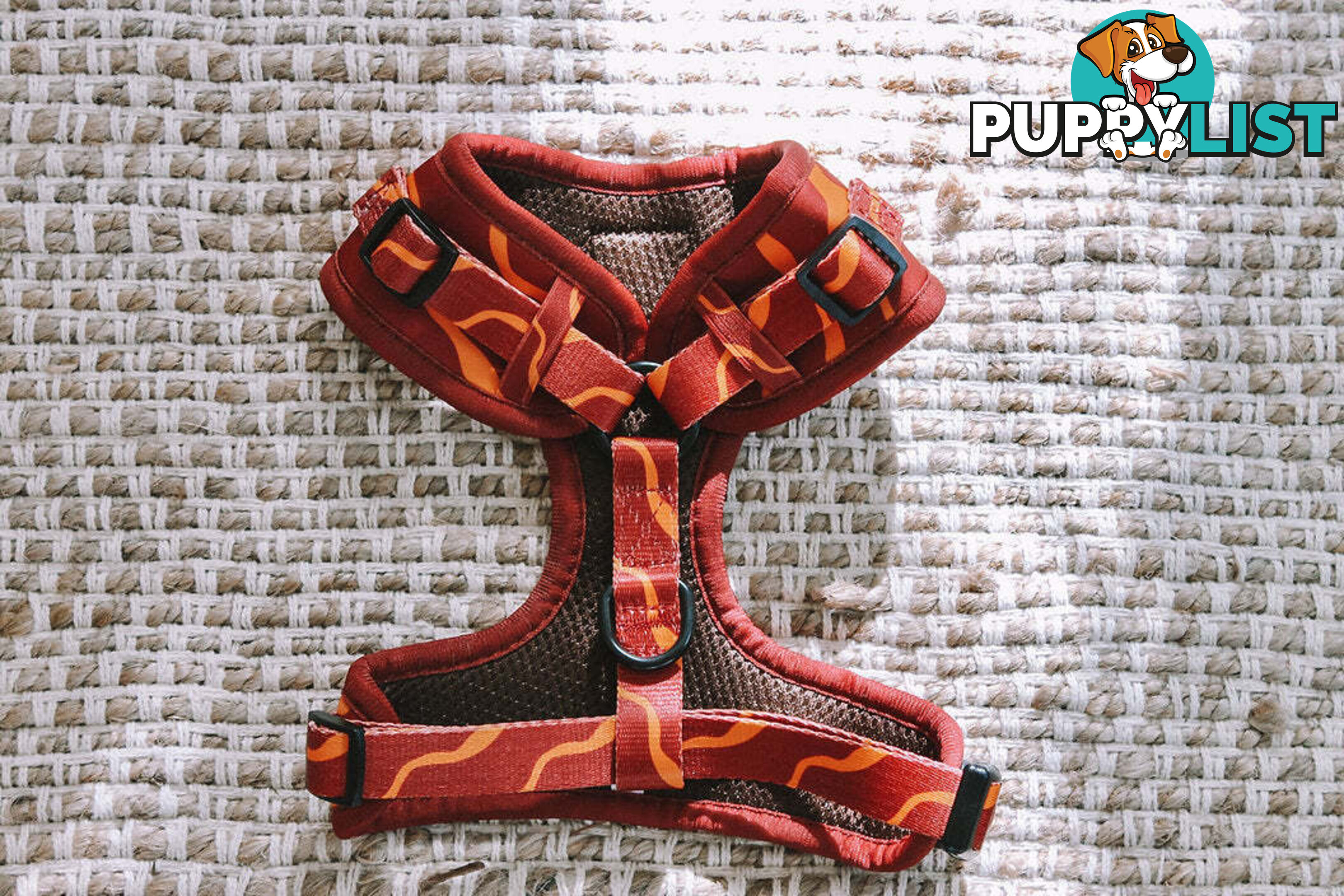Designer Dog Harness by Explore with Paws - EWPHARTIGXSN