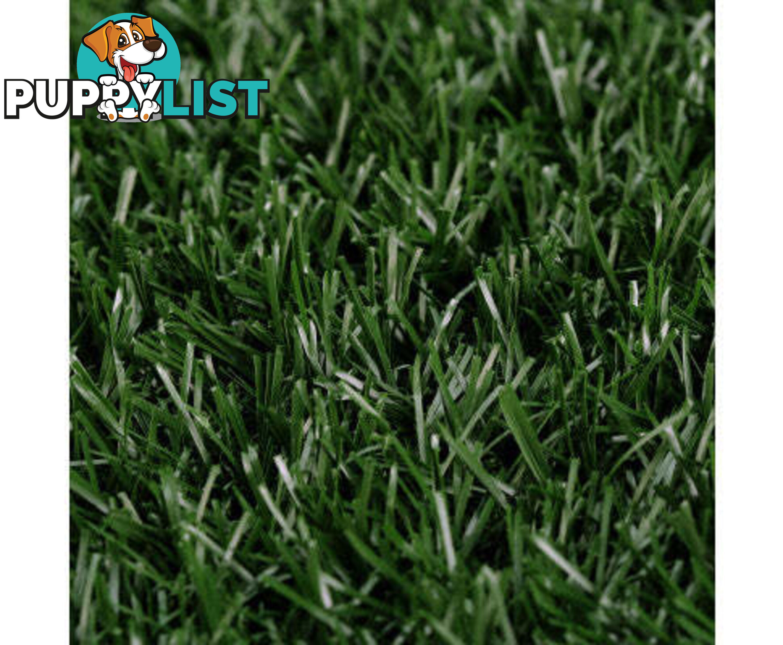 Paw Mate Grass Mat for Pet Dog Potty Tray Training Toilet 63.5cm x 38cm - V274-PET-MAT-202
