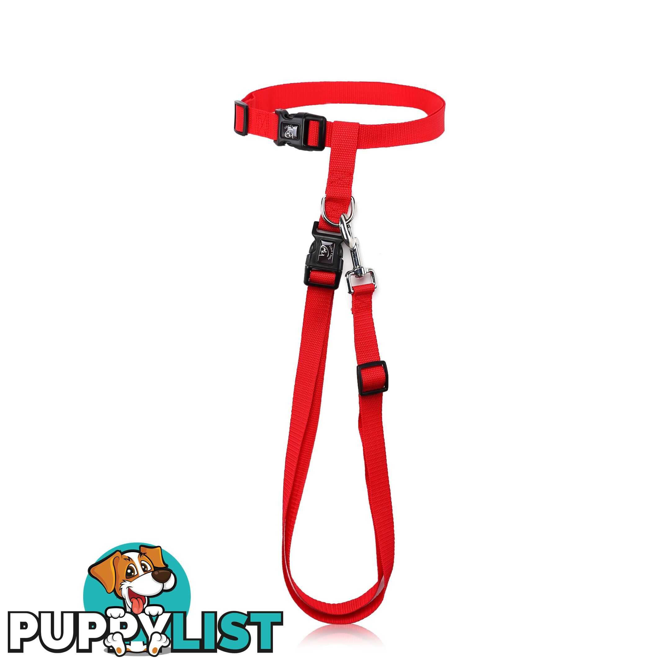 Hands Free Runner/Walker Waist Dog Leash Reflective- Moondidley Pets - MDPLDRUNRED
