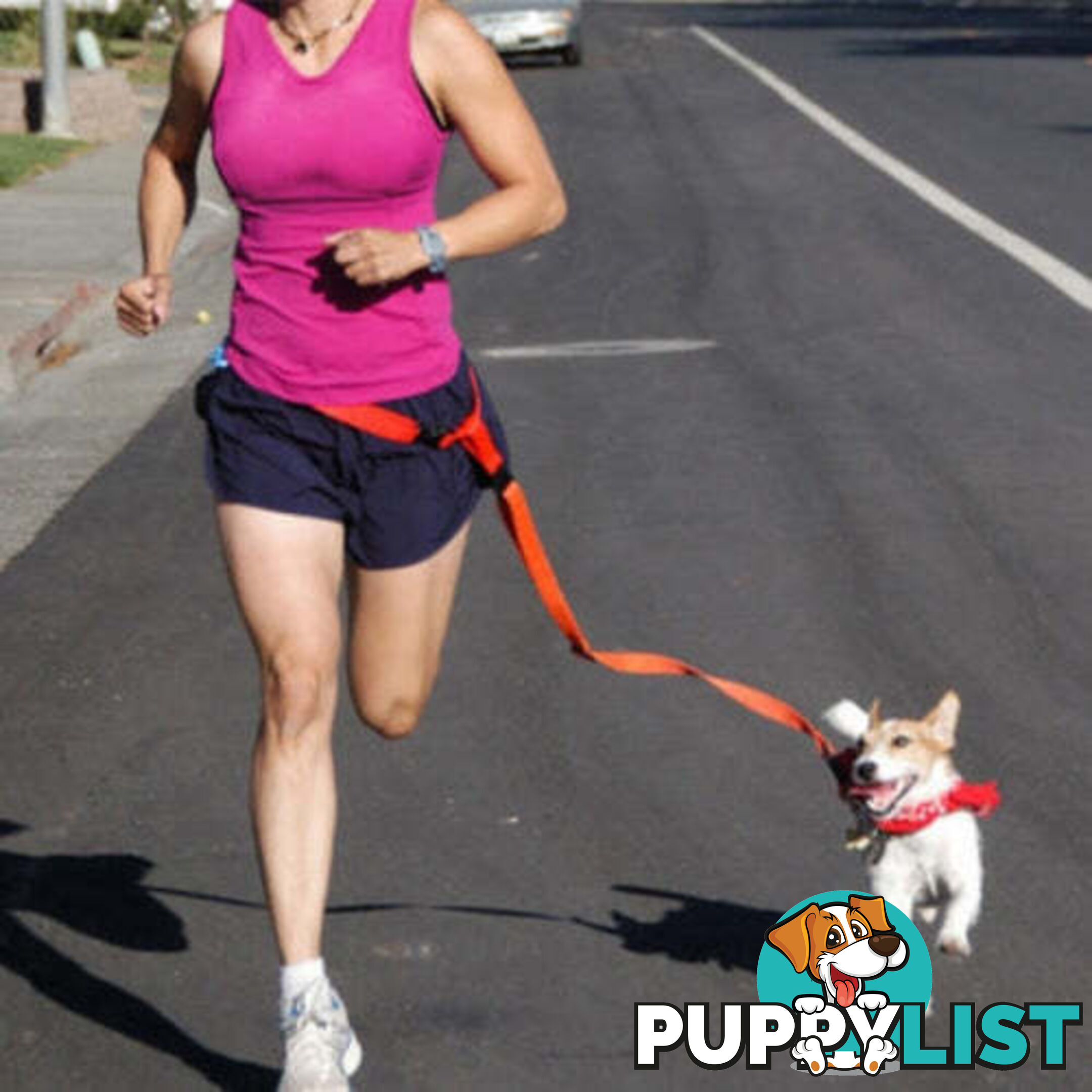 Hands Free Runner/Walker Waist Dog Leash Reflective- Moondidley Pets - MDPLDRUNRED
