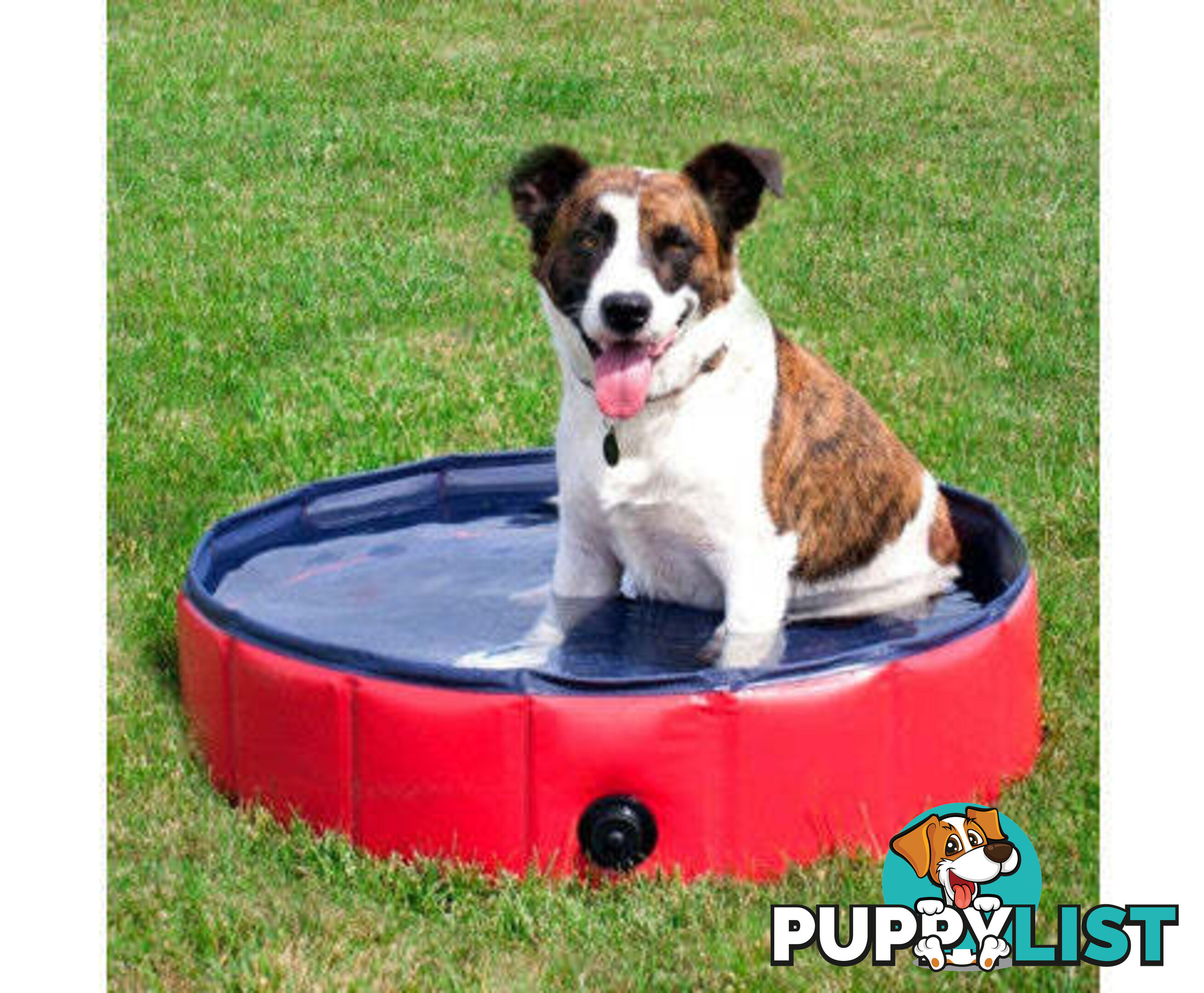 Floofi Pet Pool - V227-3331641005040